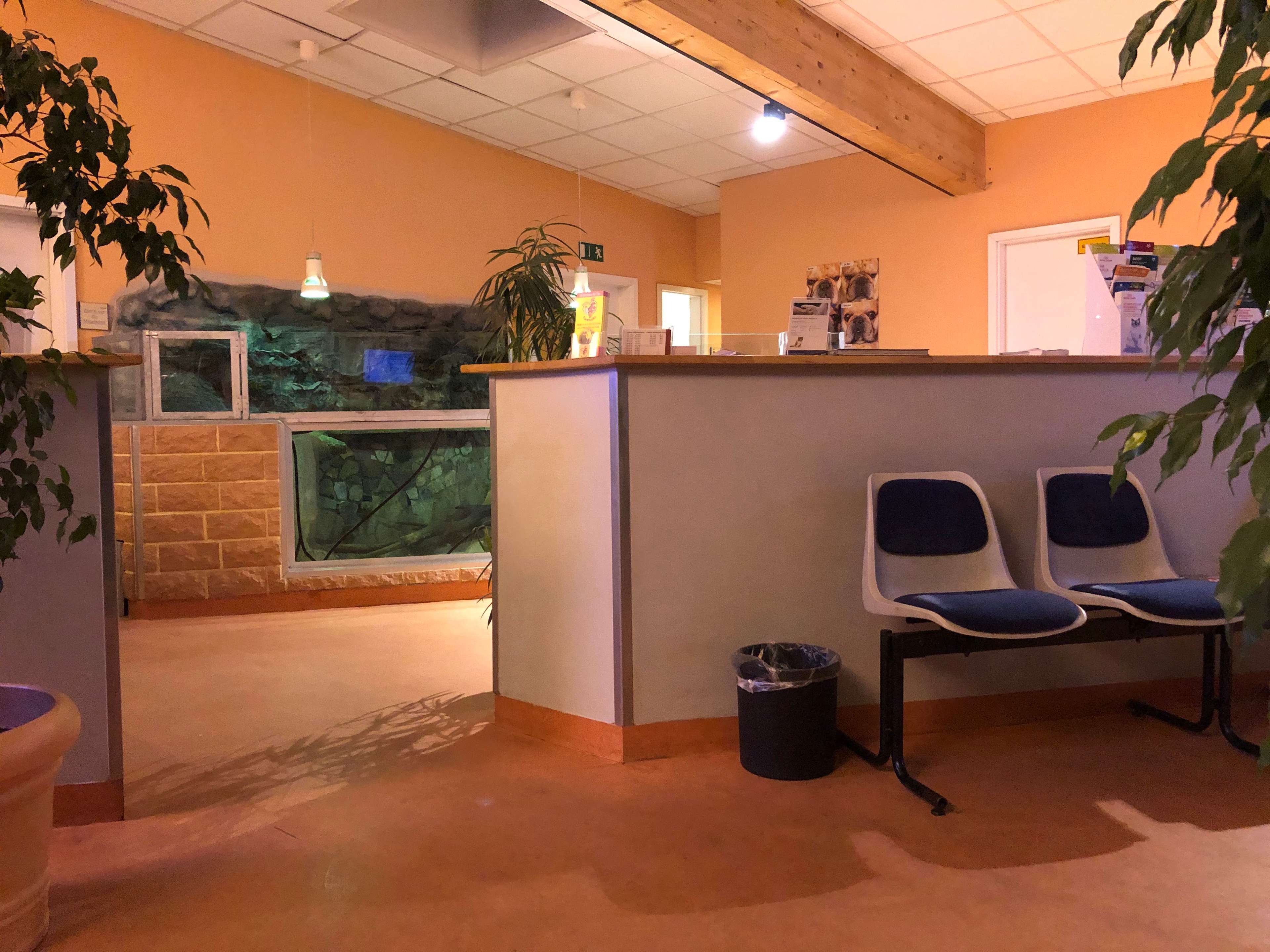 View 2 of Tierarztpraxis Rödiger - Das Veterinärmedizinische Zentrum Berlin