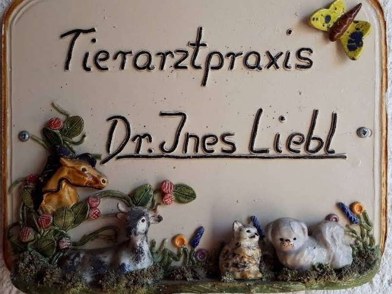 View 3 of Dr.med.vet. Ines Liebl Tierärztin