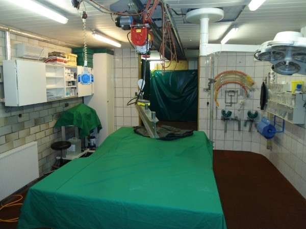 Ansicht 1 von Dr. med. vet. Andreas Presche Tierärztliche Praxis