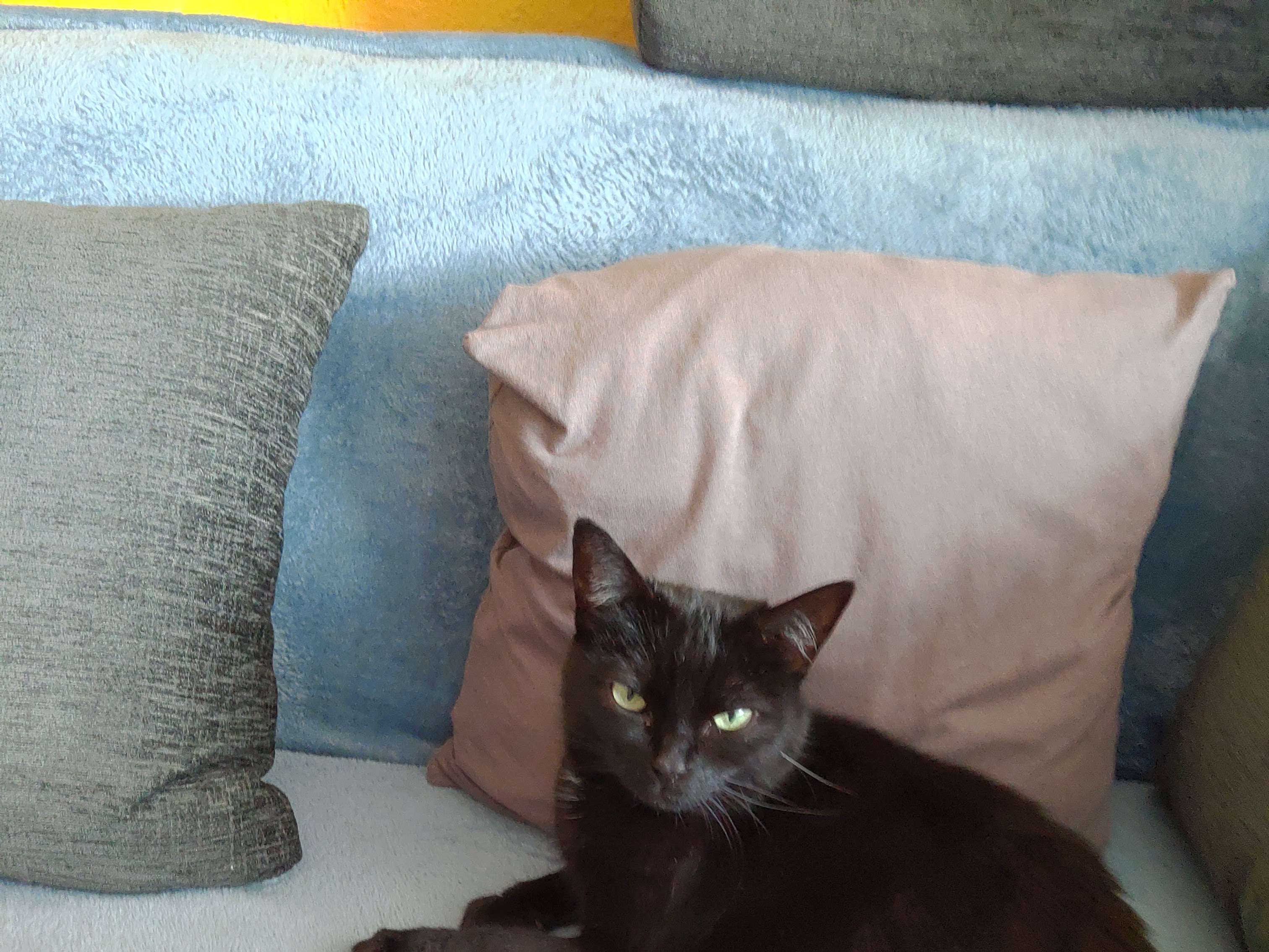 Ansicht 3 von Uta Schmitt Tierärztin