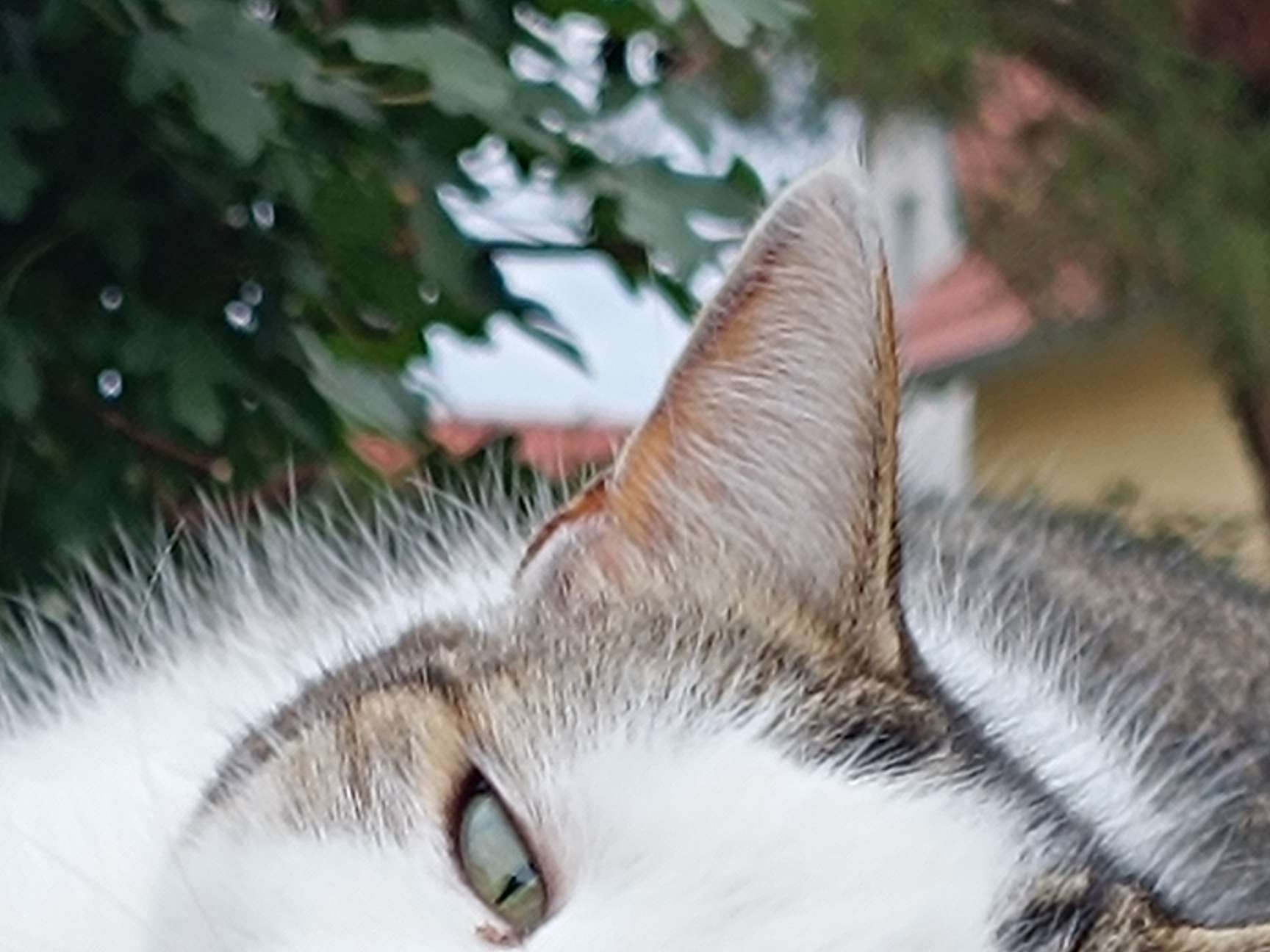 Ansicht 3 von Tierärzte forchheim.vet