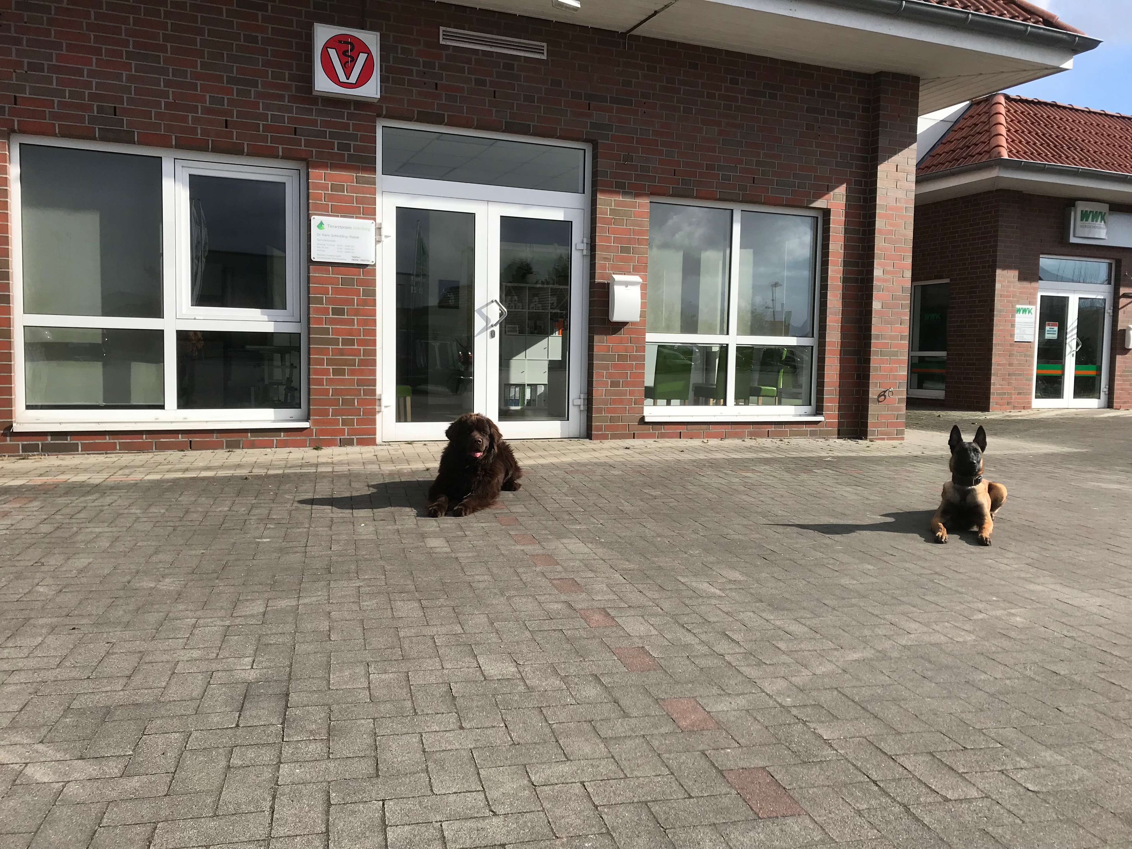Ansicht 2 von Tierarztpraxis Jaderberg