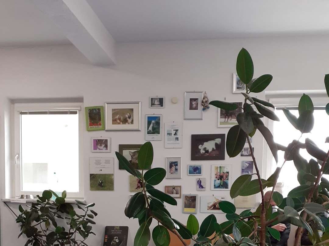 Ansicht 3 von Tierarztpraxis Dr. med. vet. Müller-Wabro, Andreas