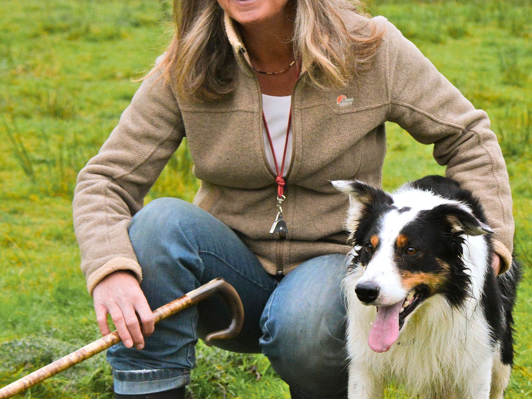 Ansicht 2 von Tierarztpraxis Dr. Viola Hebeler Fachtierärztin für Pferde / Sportmedizin Hund