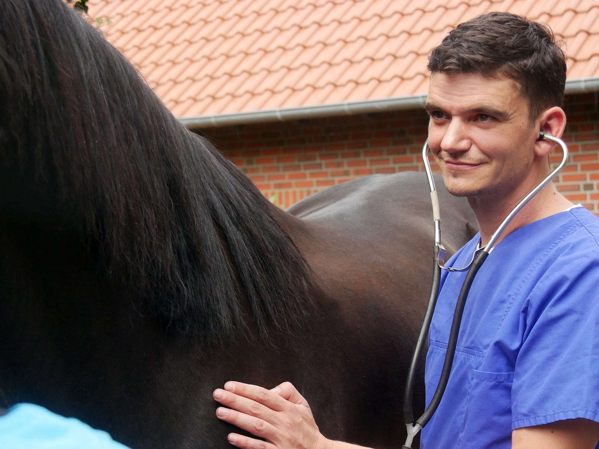 Ansicht 2 von Tierärztliches Gesundheitszentrum Dr. Nadja Kosuch & Tim Gernhardt, Steyerberg