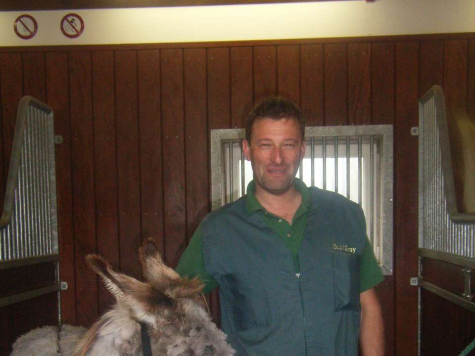 Ansicht 3 von Akademie für Tiergesundheit, Akupunktur & Osteopathie Dr. med. vet. Jean-Yves Guray