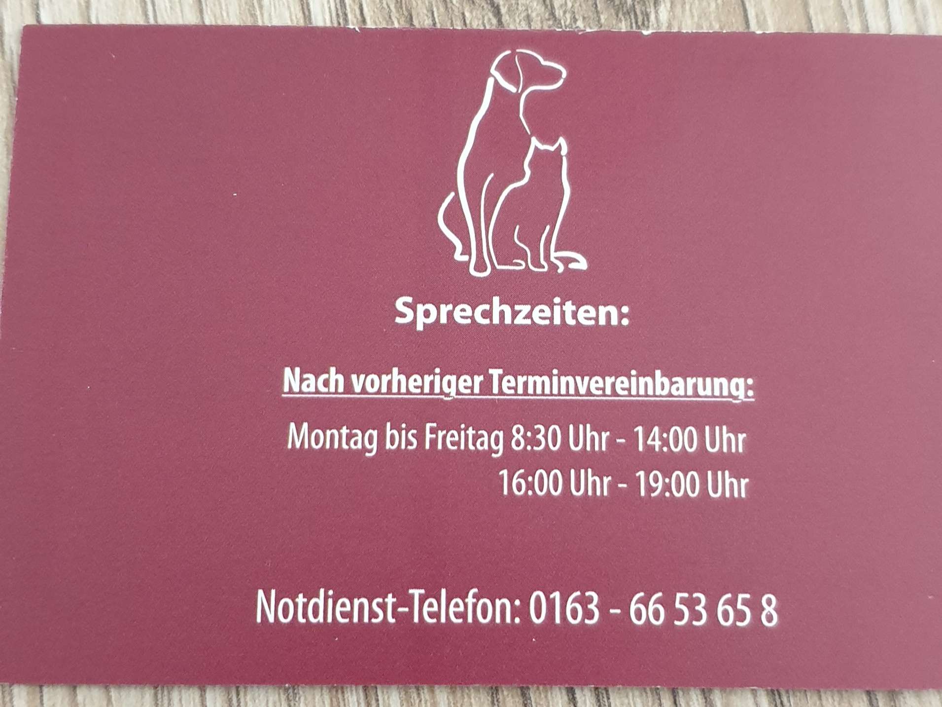 Ansicht 1 von Schulze Rückamp Larissa