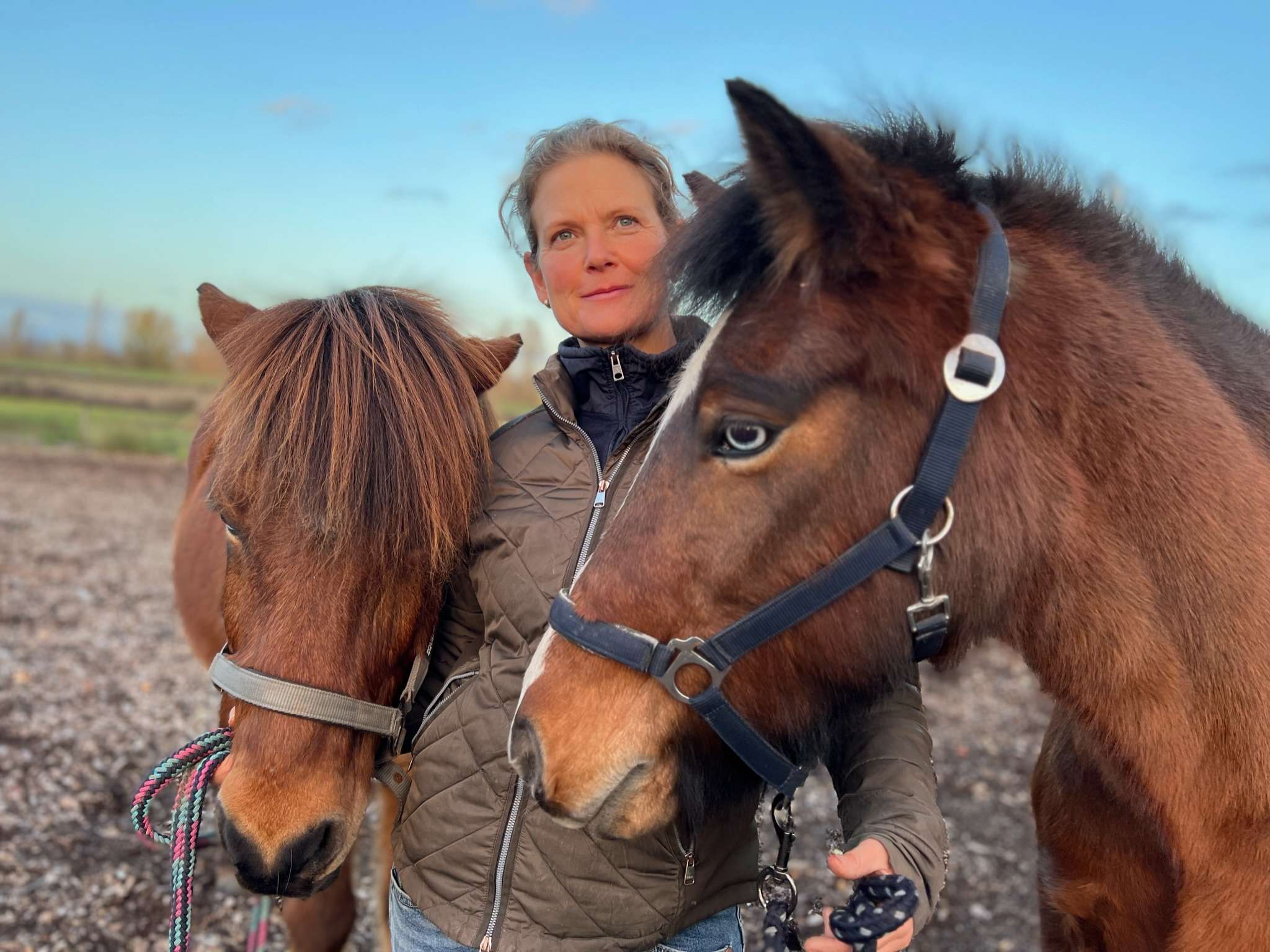 Ansicht 1 von PRAKTISCHE TIERÄRZTIN KAREN KÖTTER | DENTALPRAKTIK | CHIROPRAKTIK | AKUPUNKTUR