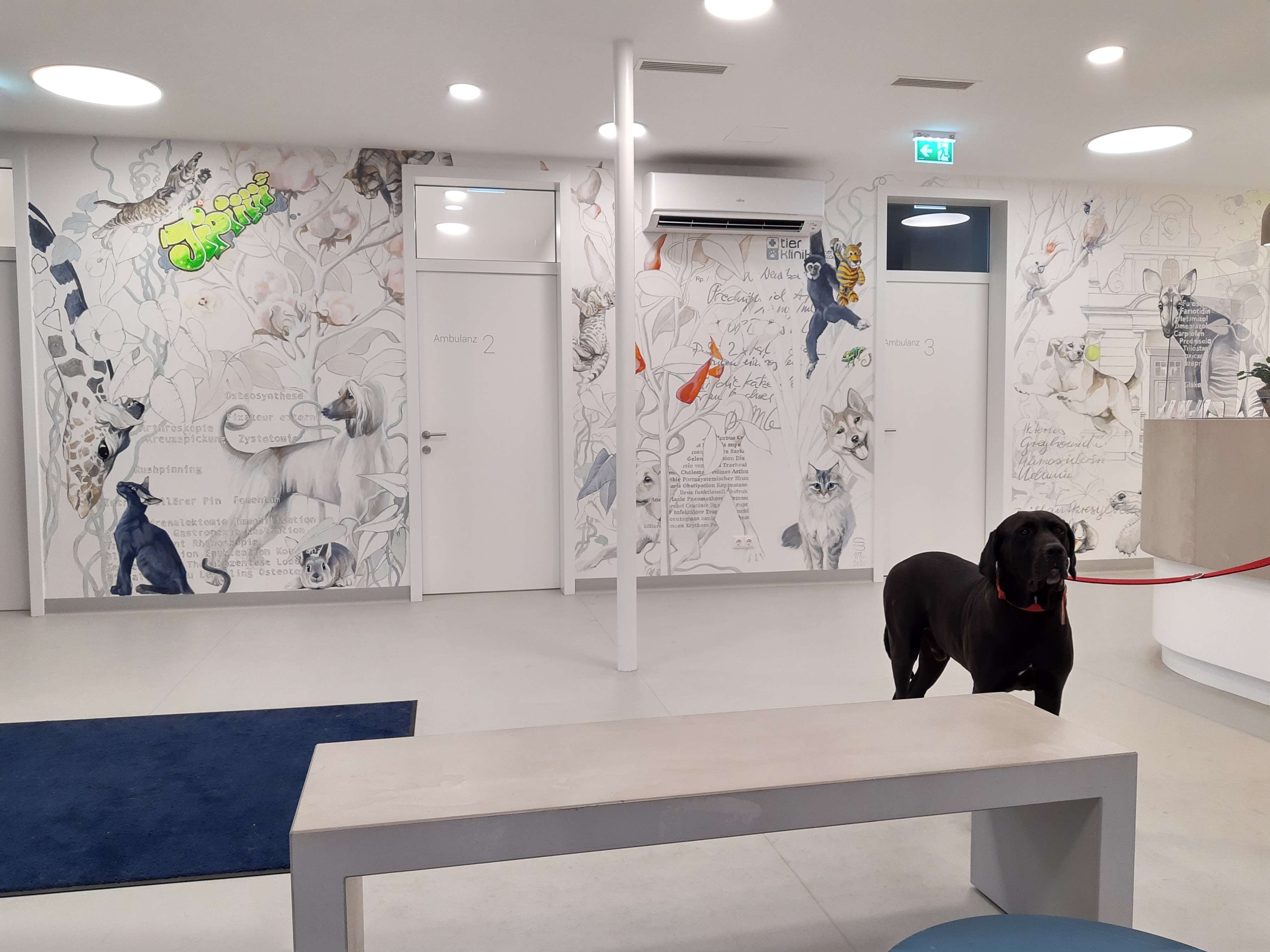 Ansicht 1 von Tierklinik Wiener Neustadt
