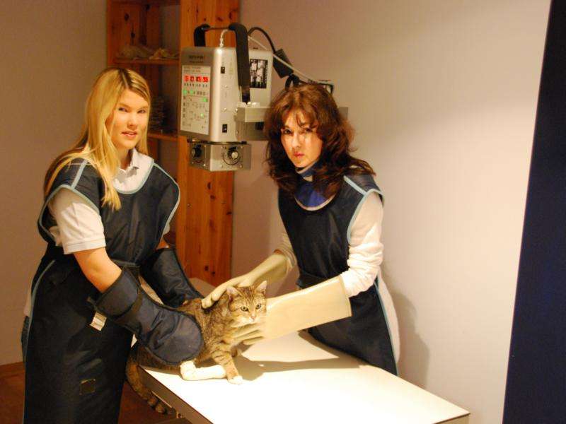 View 1 of Dr.med.vet. Marion Andreas