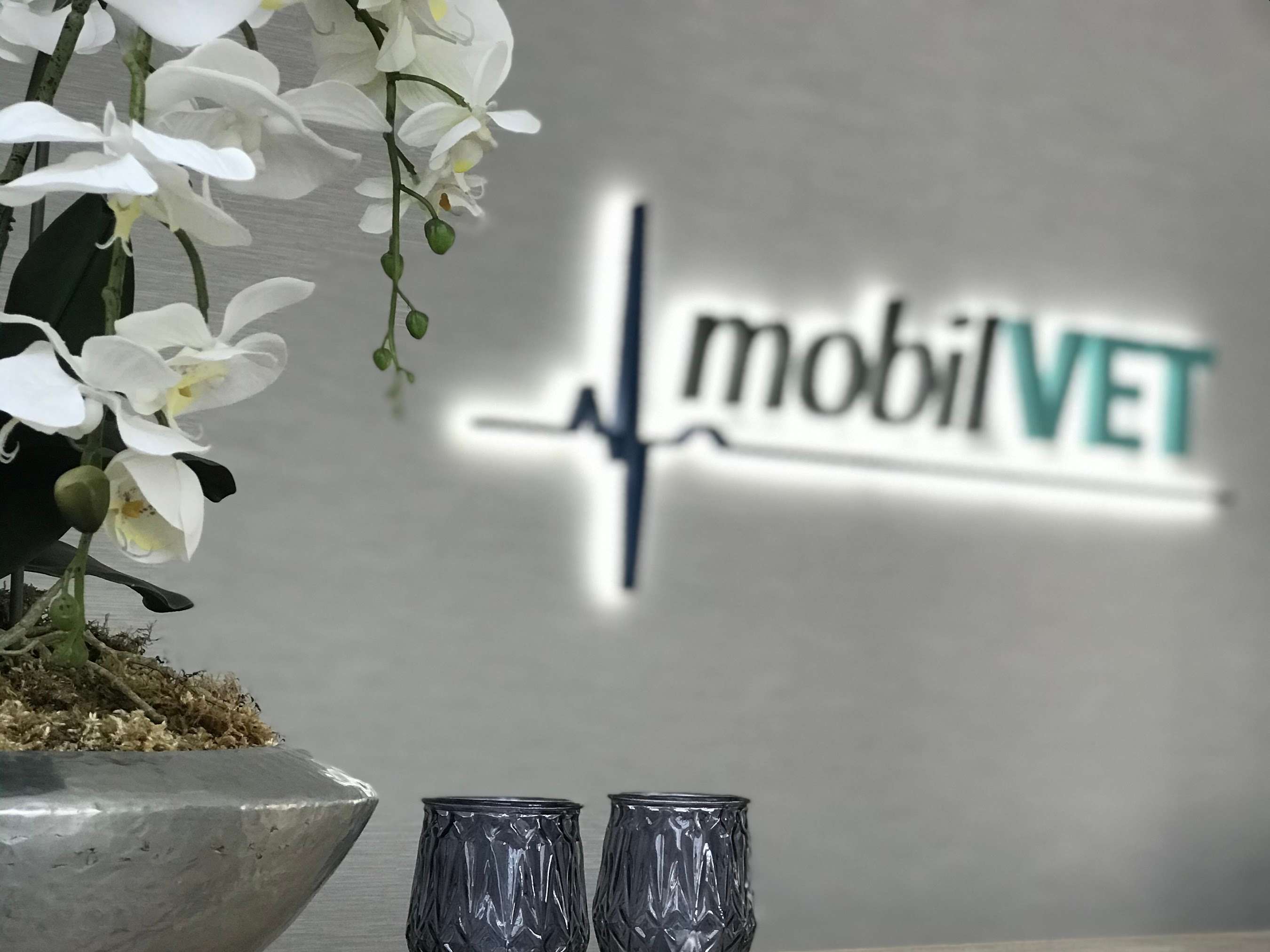 Ansicht 2 von mobilVET - Ihre Tierärzte für zu Hause🐾