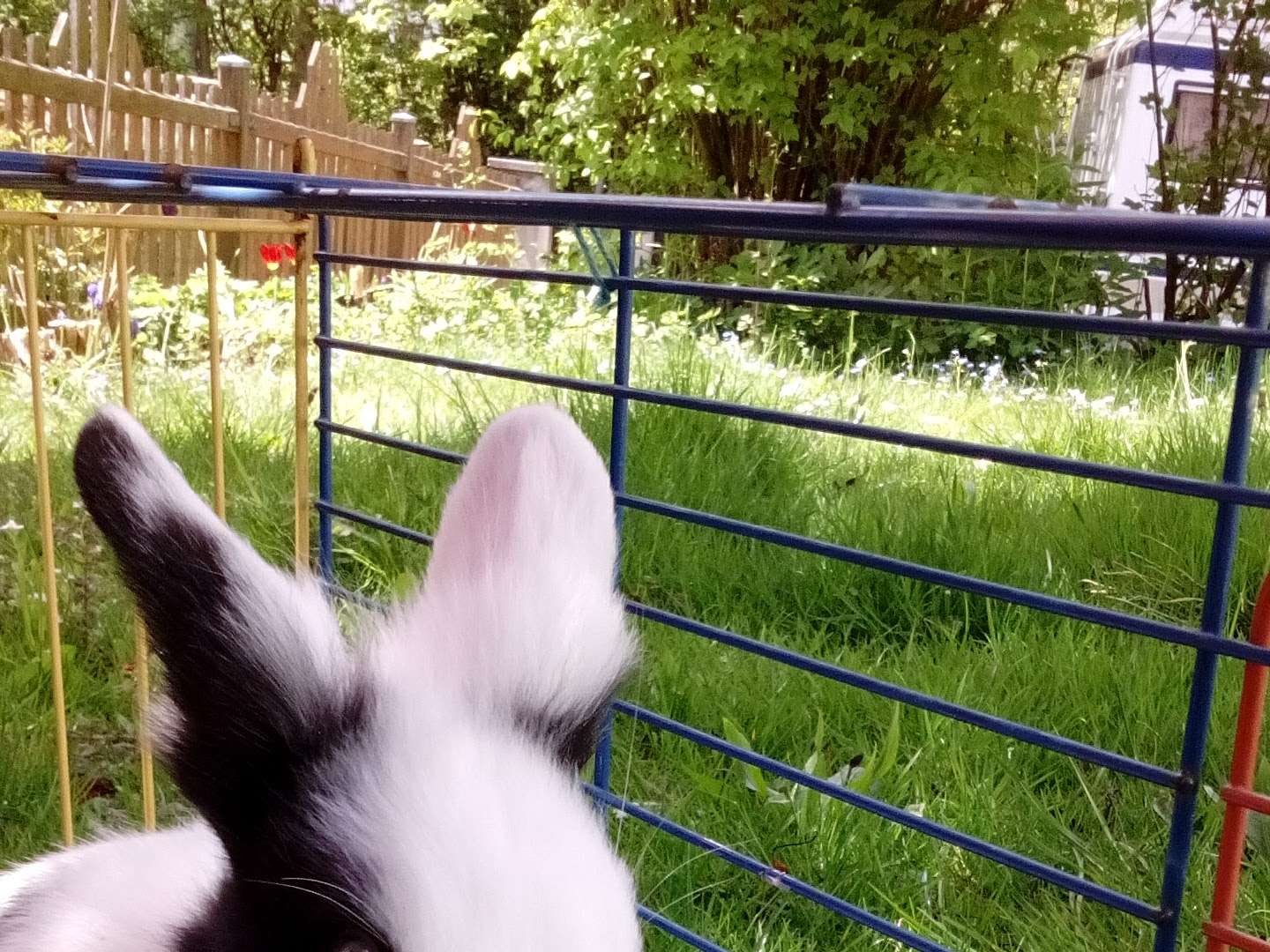 Ansicht 3 von Zentrum für Tiermedizin Pürgen
