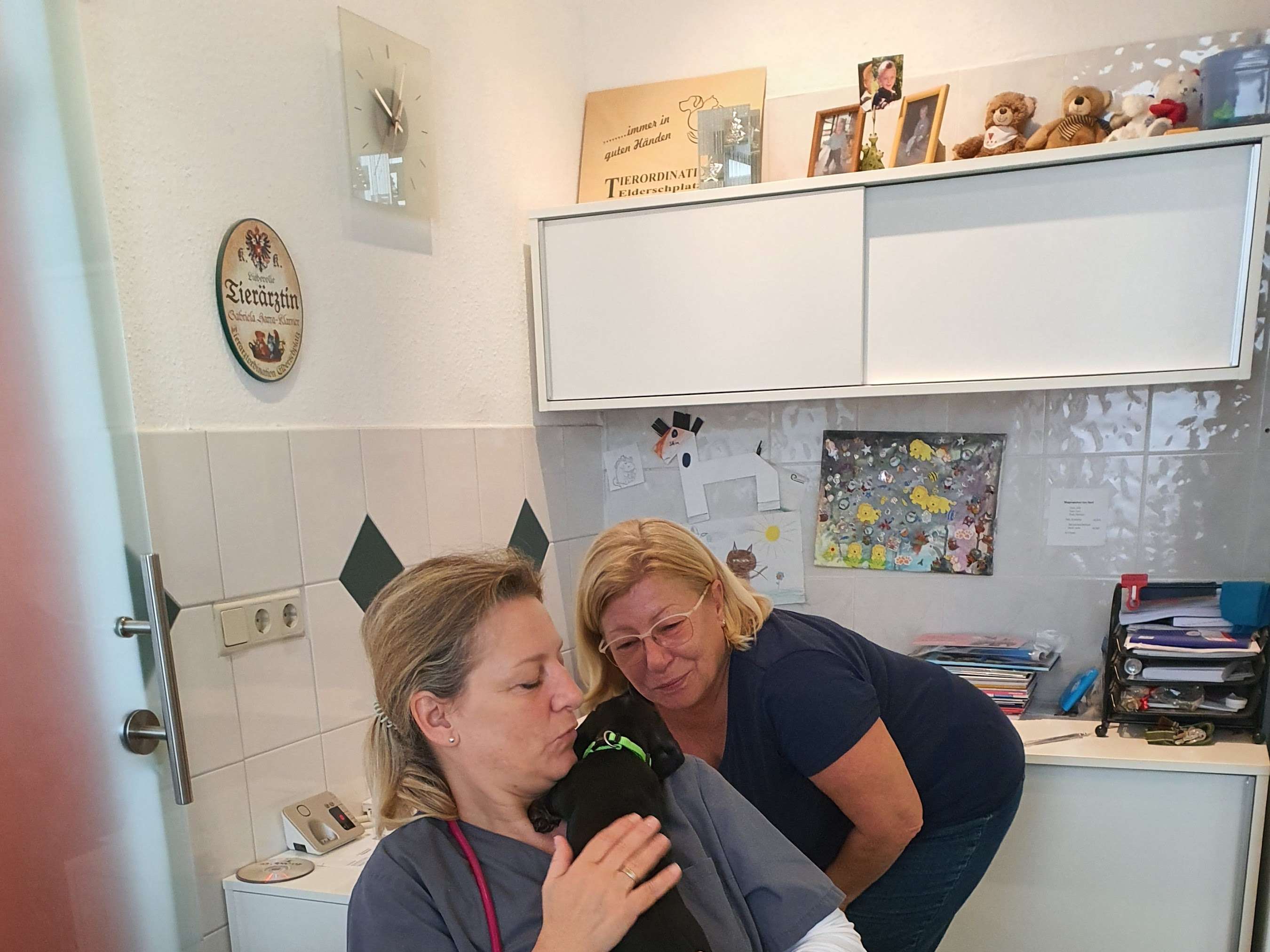 Ansicht 3 von Tierordination Elderschplatz