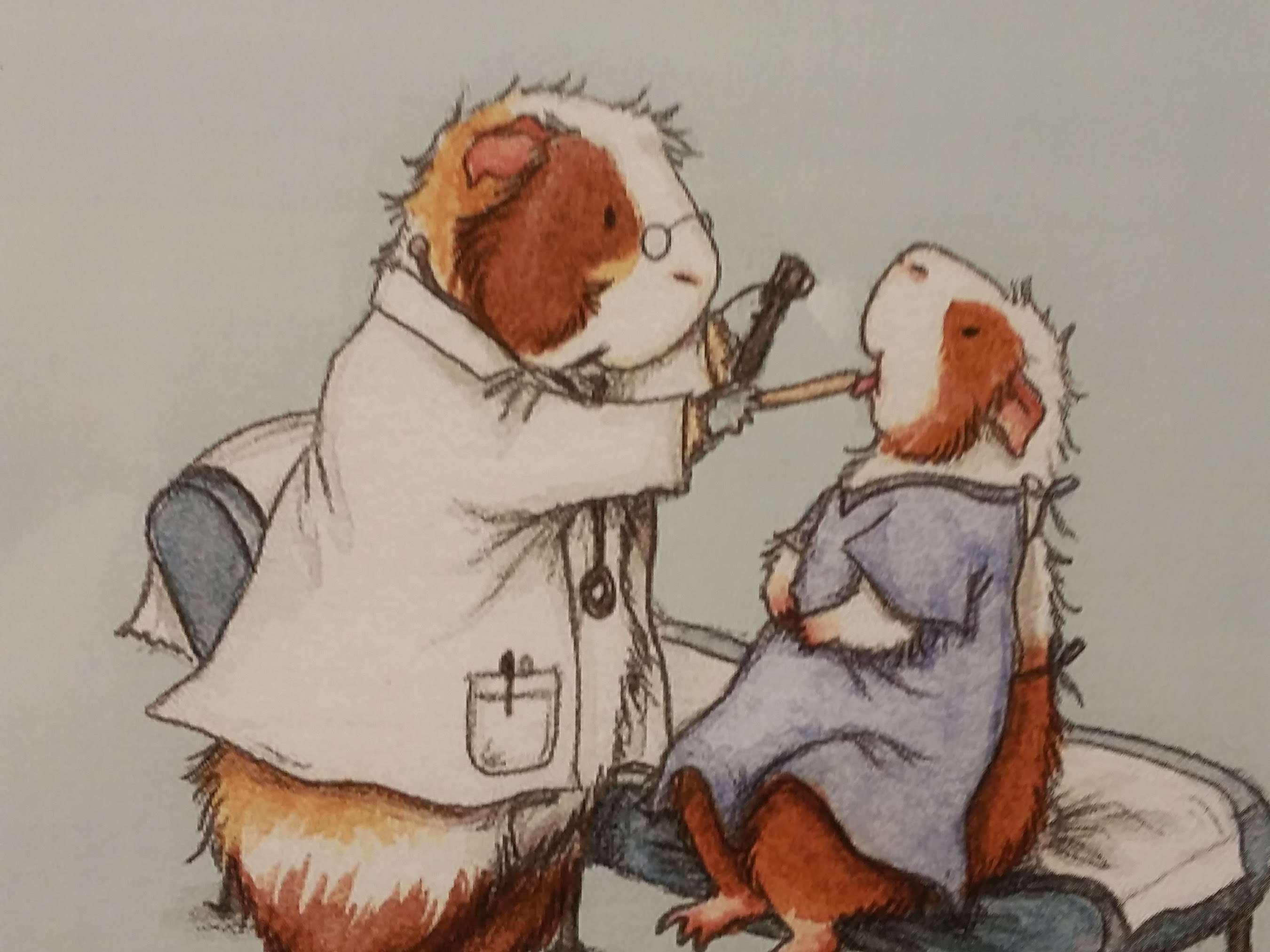 Ansicht 4 von Tierarztpraxis Schweigart