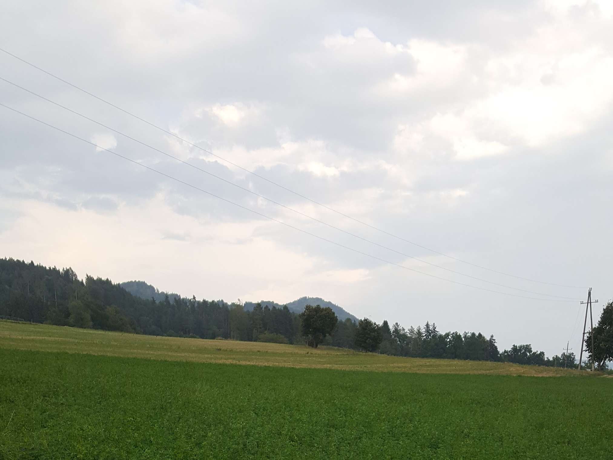 Ansicht 3 von Tierarztpraxis Mertlitsch GmbH Dipl. TA Helga Mertlitsch, Dipl. TA Roland Mertlitsch