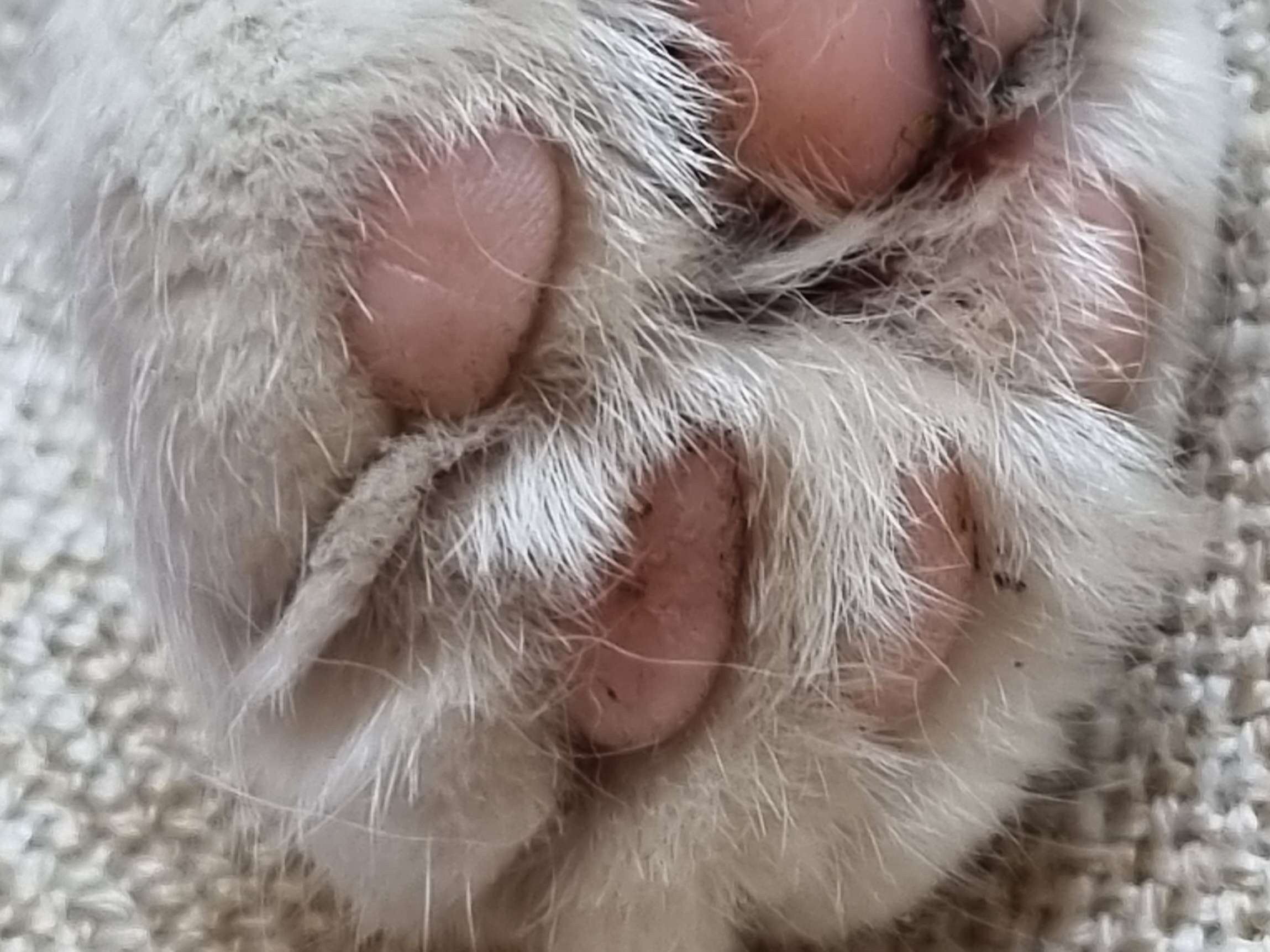 Ansicht 2 von Maren Koch Tierärztin