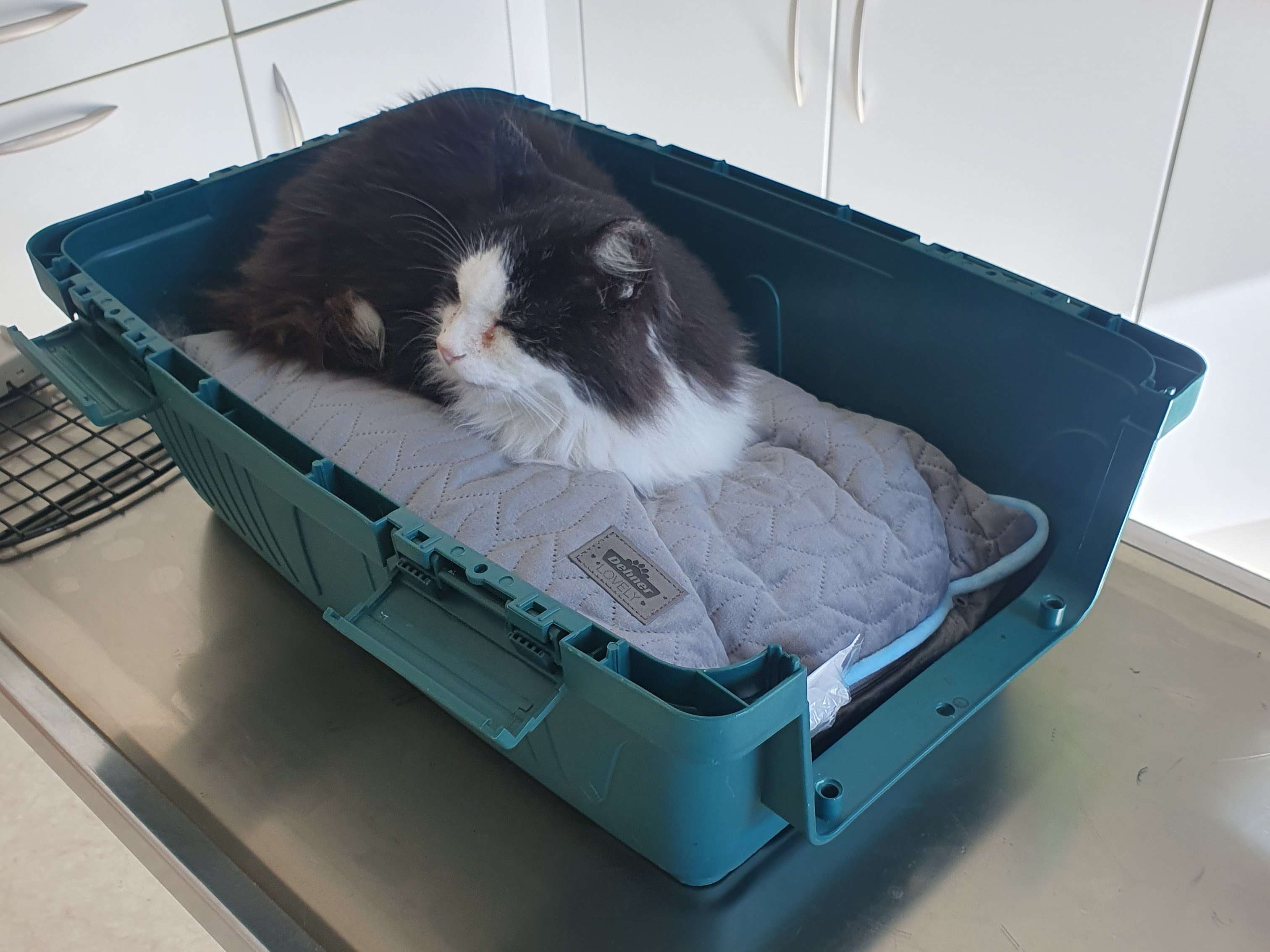 Ansicht 1 von Tierarzt Huber