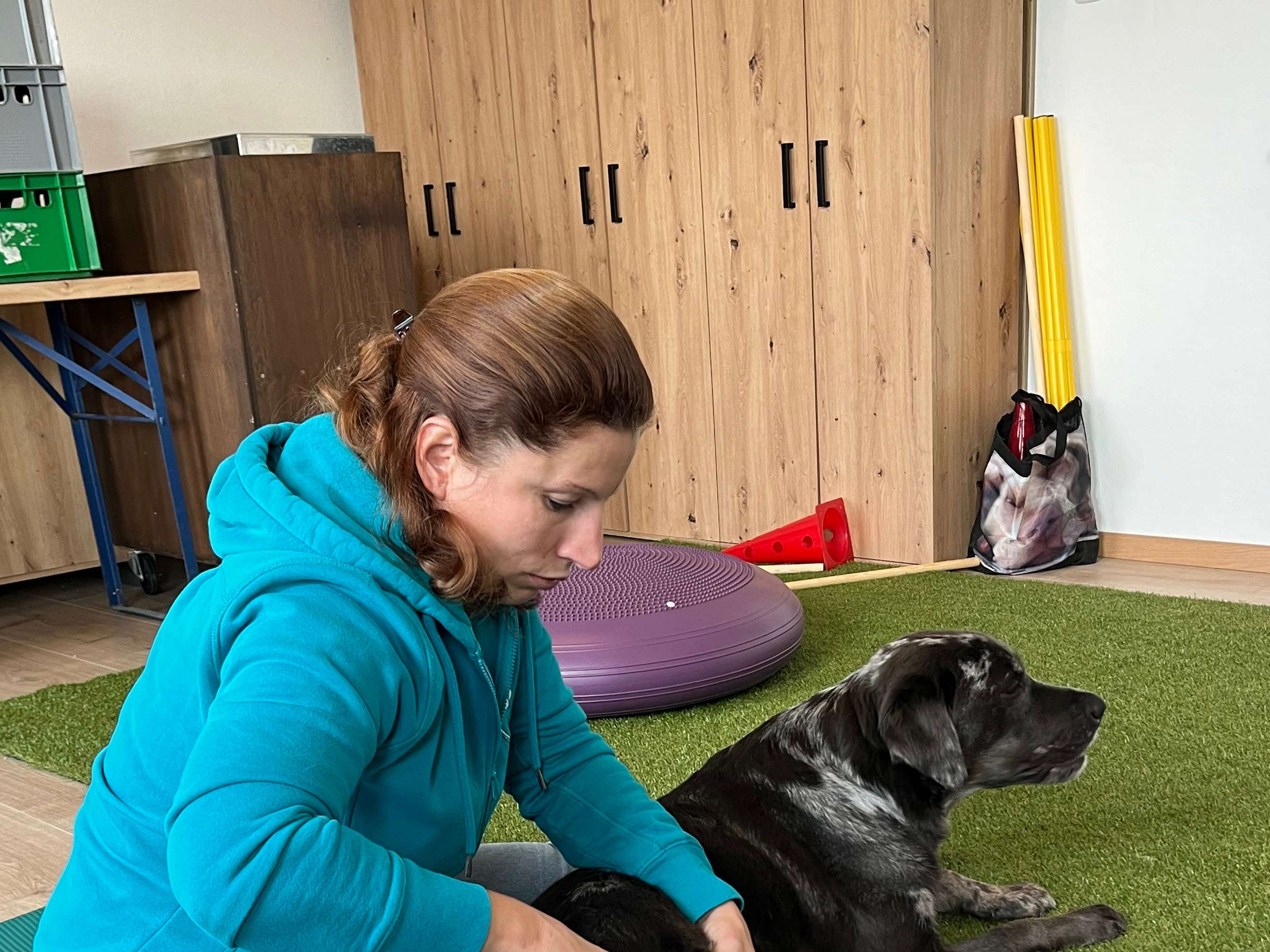 View 2 of PhysioDog Hundephysiotherapie