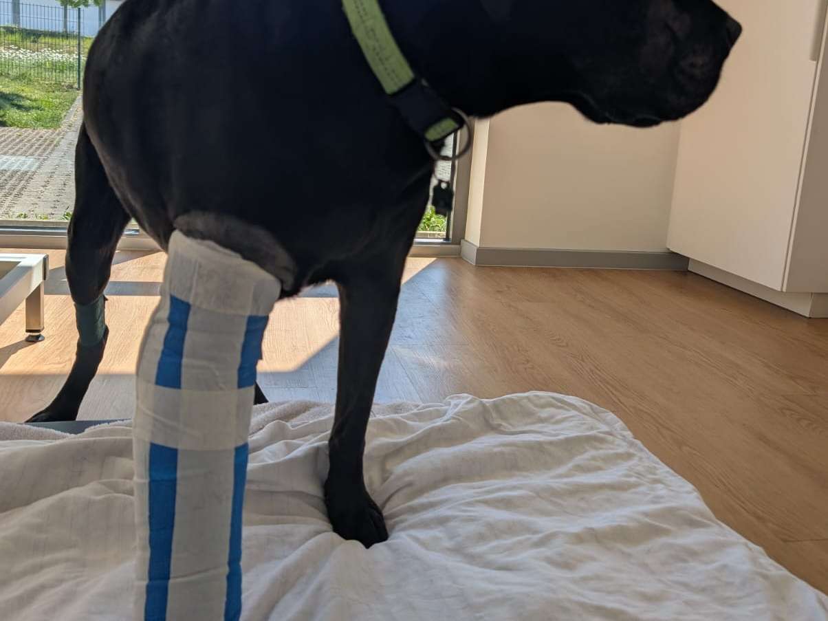 Ansicht 3 von Vet Chirurgie GbR
