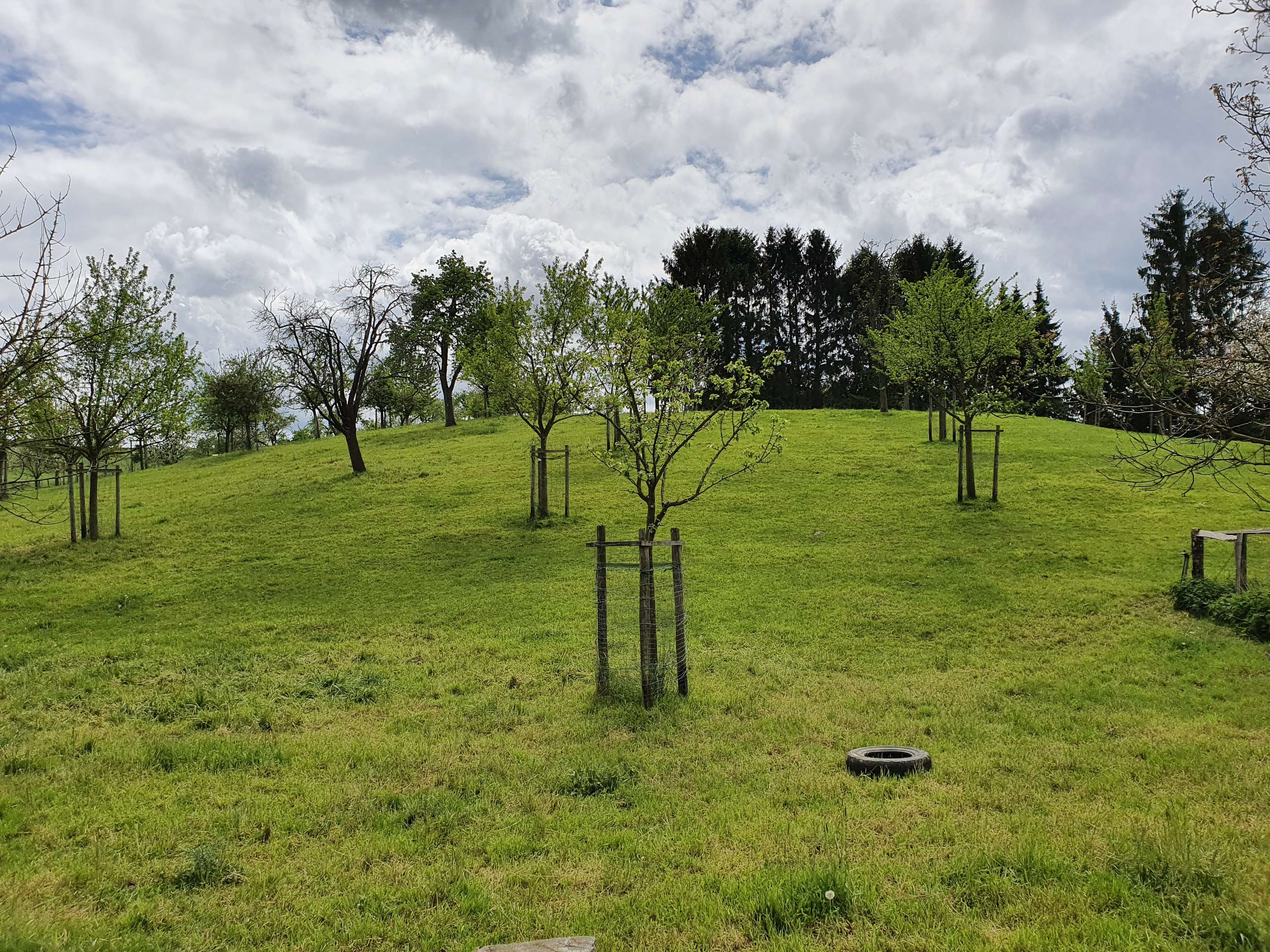 Ansicht 2 von Tierarztpraxis Jentzsch