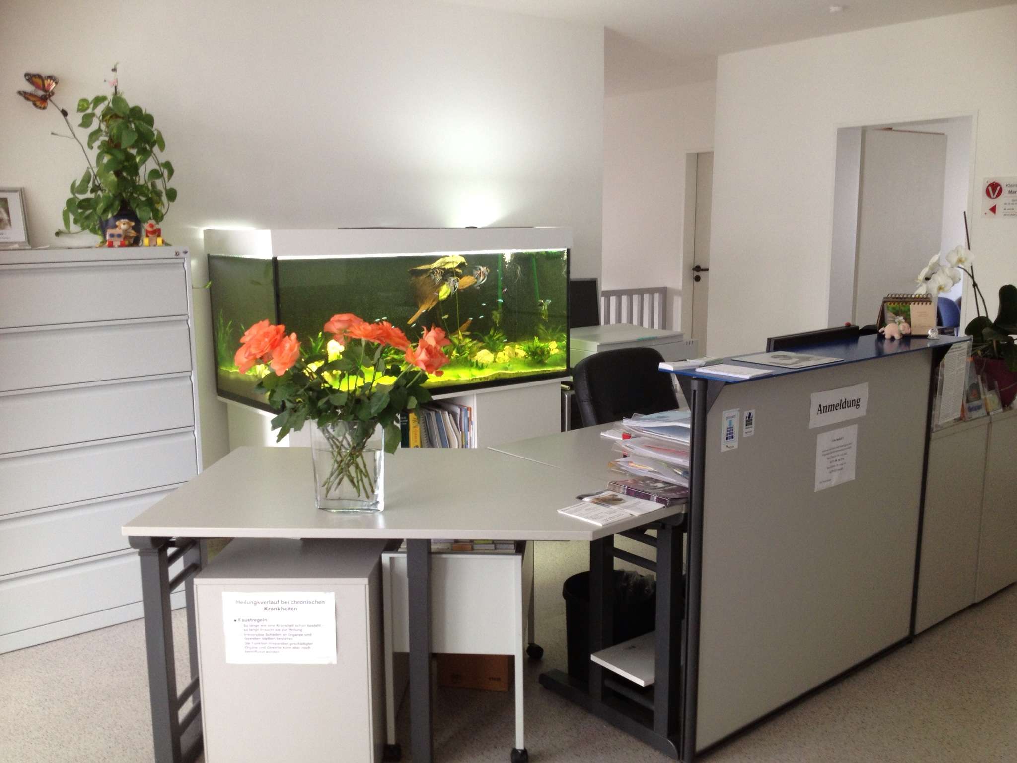 Ansicht 1 von Tierarzt Mara Tipuric,Dr.vet.med