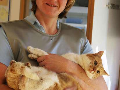 View 2 of Tierärztepartnerschaft GesnbR - Dr. Angerer & Dr. Gredler