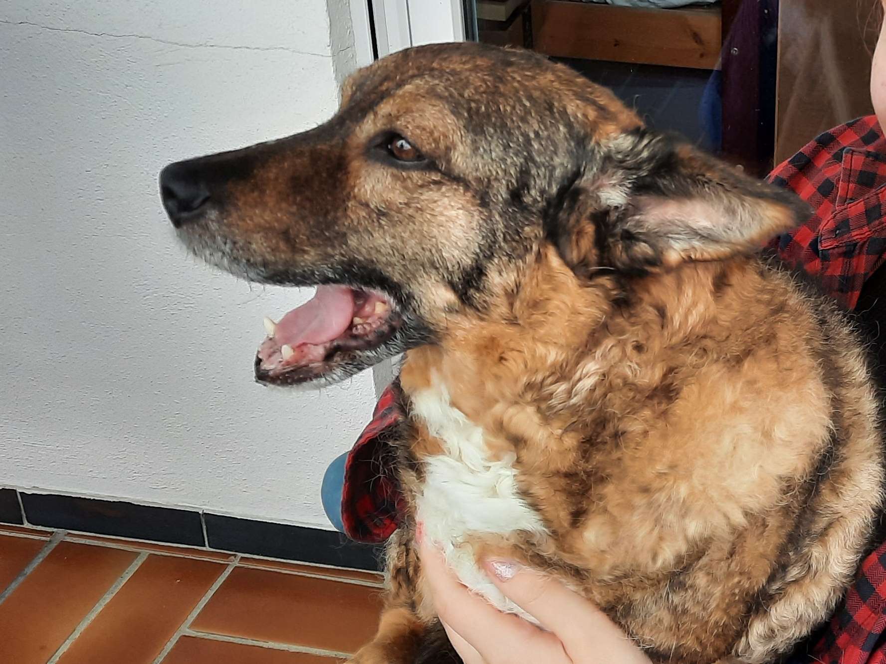 Ansicht 1 von Tierarzt Krüger