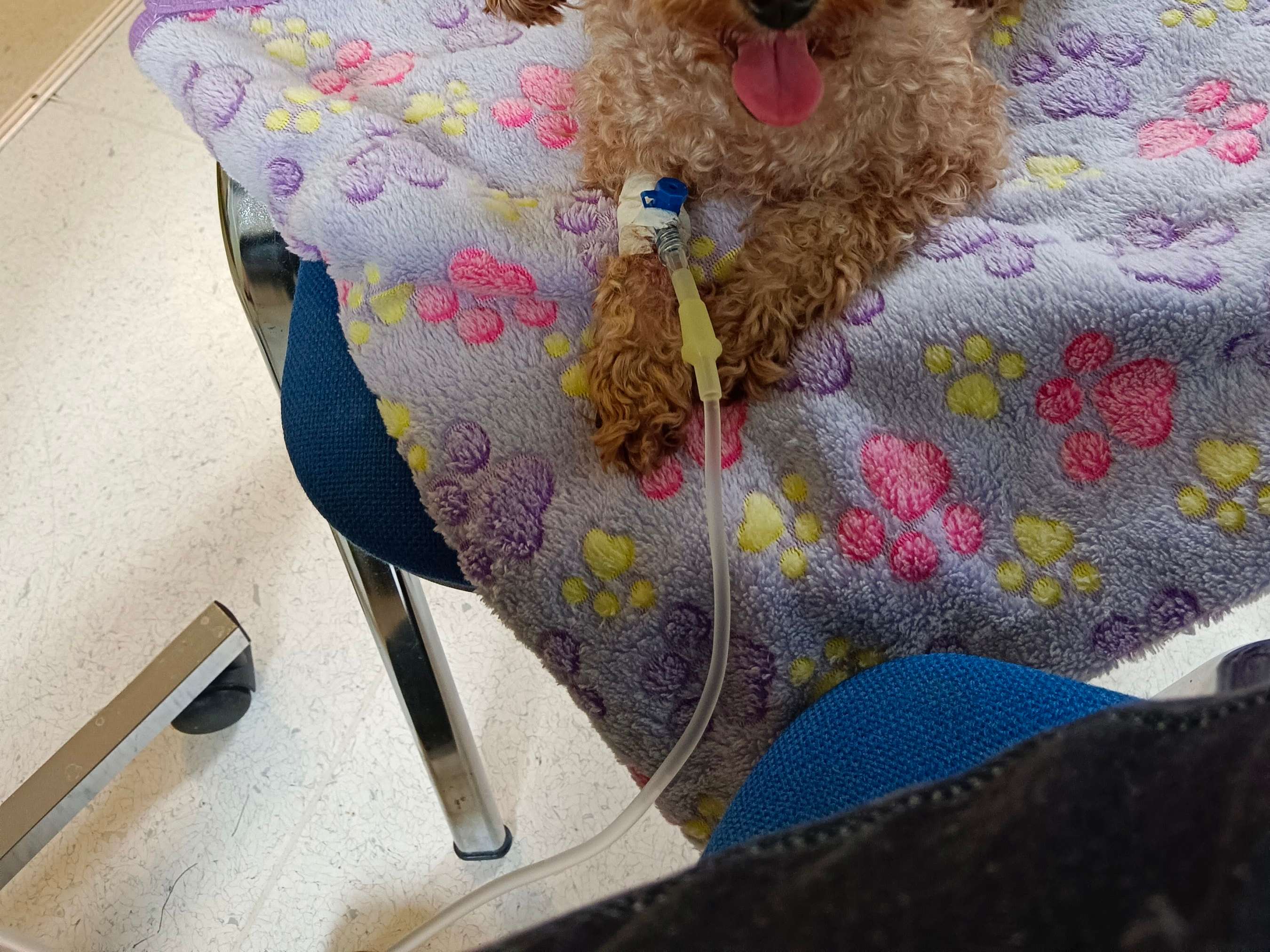 Ansicht 2 von Tierklinik Dr. Hutter