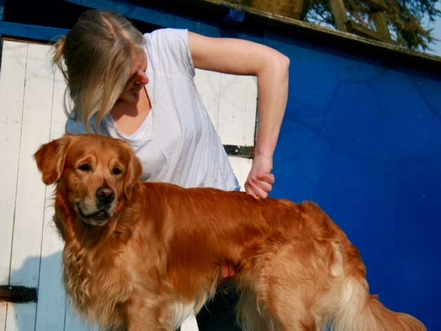 Ansicht 1 von Daniela Heinemann - Chiropraktik für Hunde