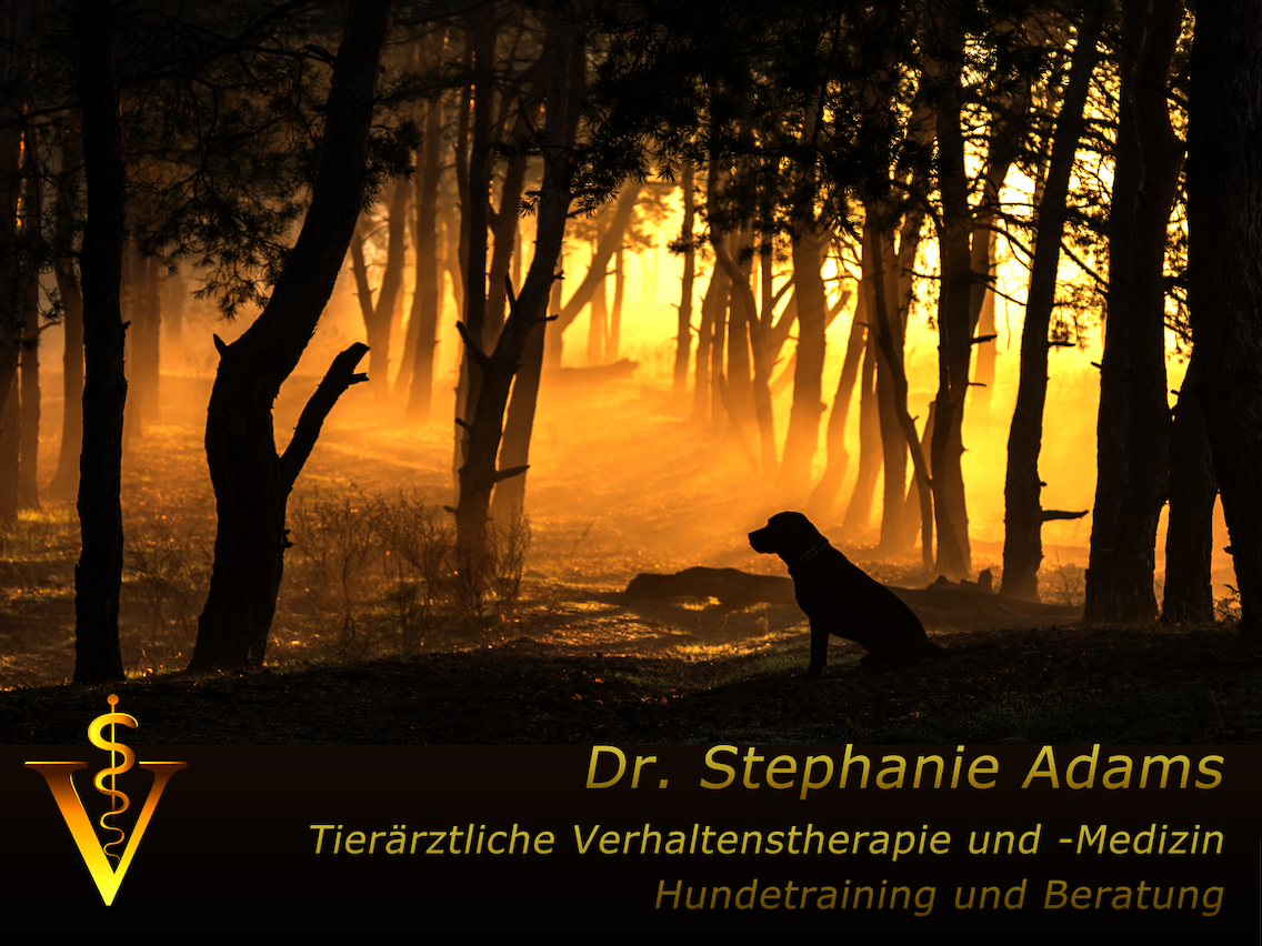 View 1 of Dr. med. vet. Stephanie Adams - Tierverhaltenstherapie