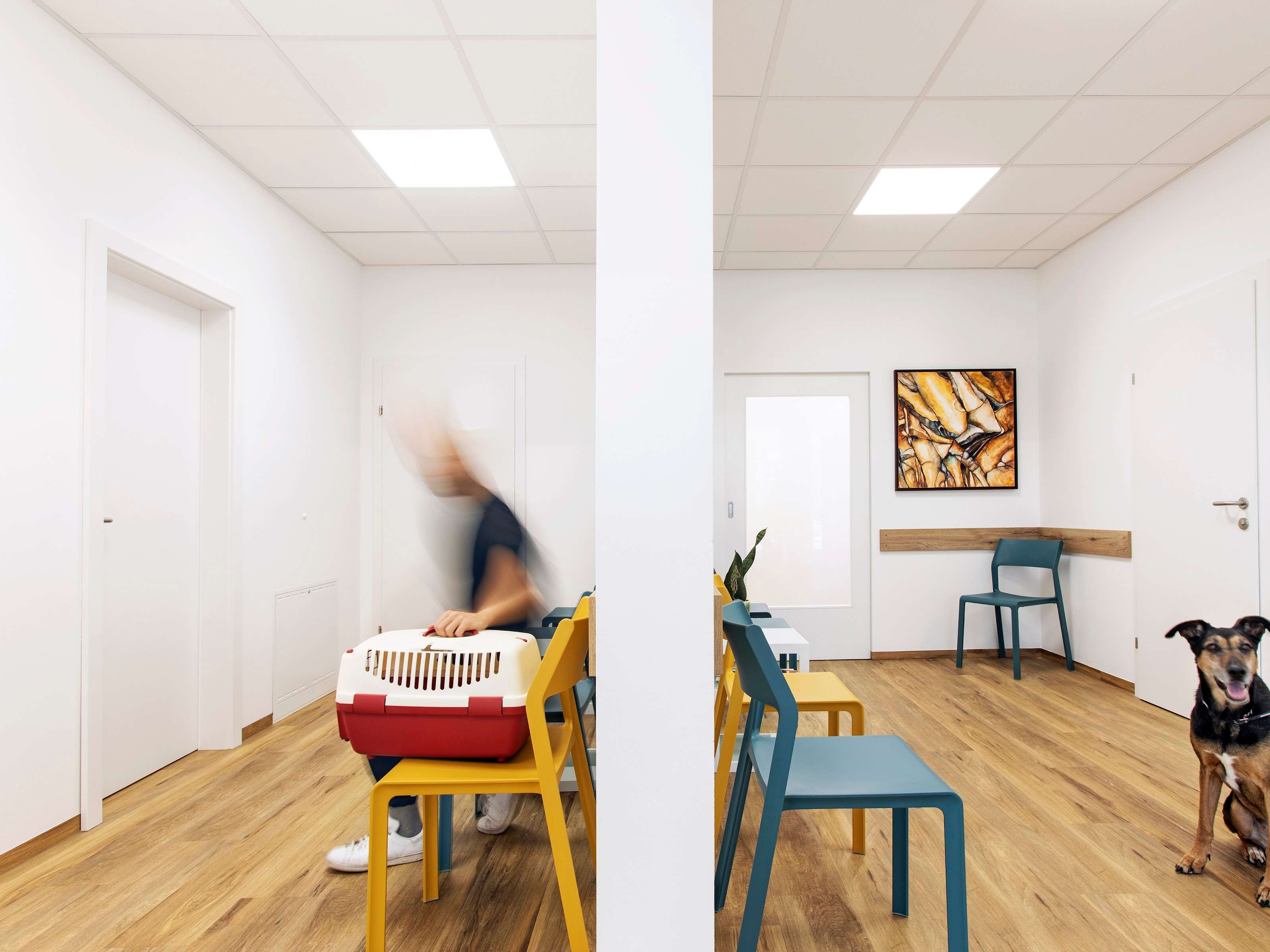 Ansicht 3 von Tierarztpraxis Leesdorf