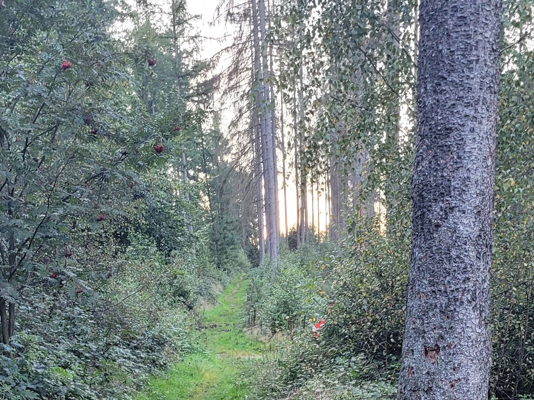 Ansicht 1 von Tierarztparxis Elvire Hudler Oerlinghausen