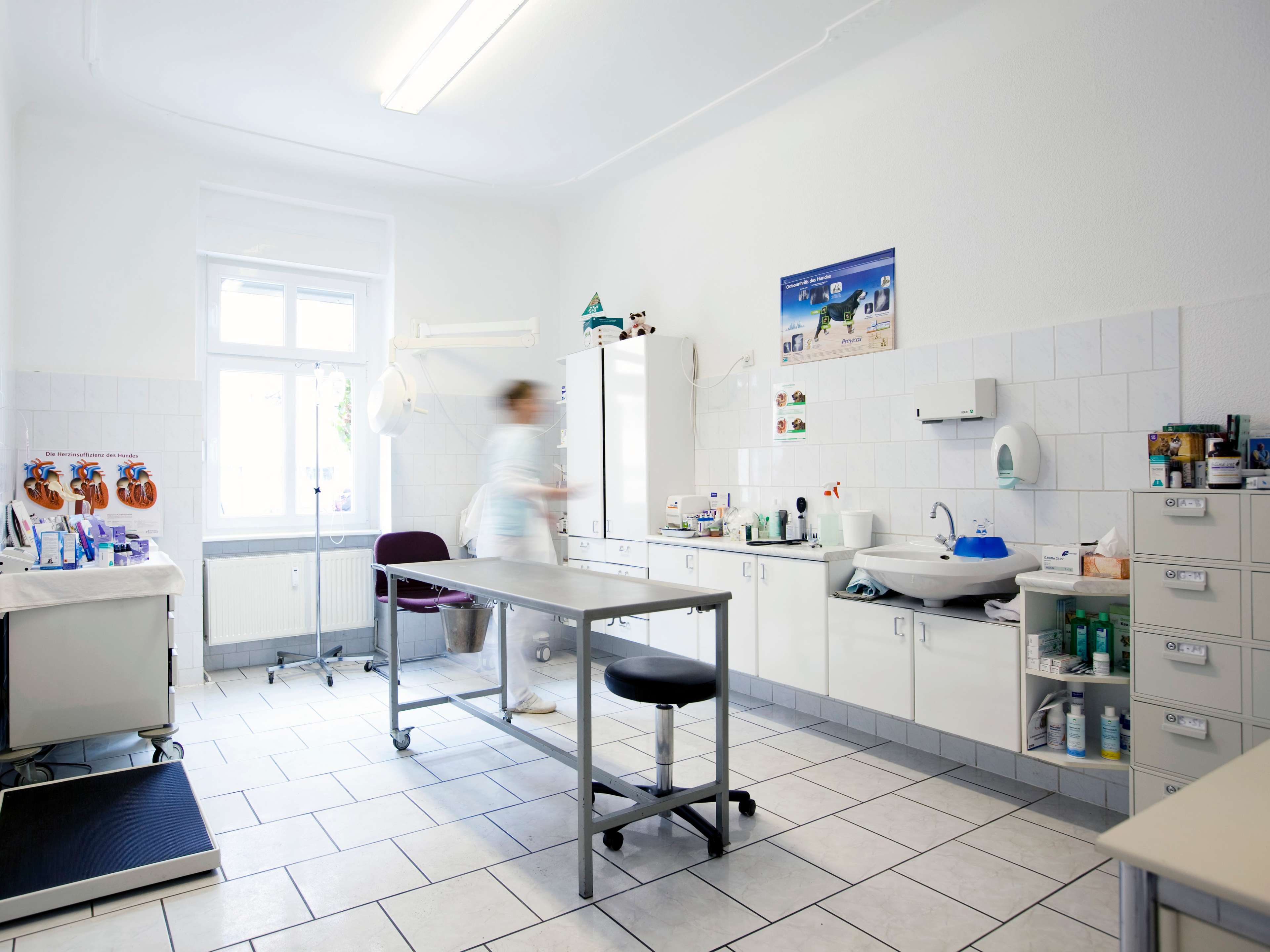 Ansicht 2 von Kleintierpraxis 4 Pfoten & Co.
