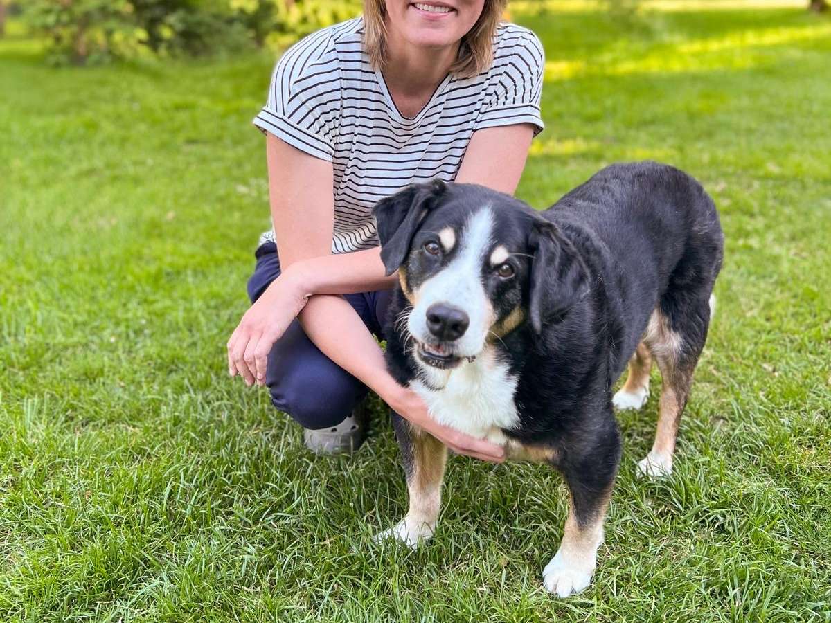 Ansicht 1 von HautFellFutterDoc Tierärztin Stefanie Scholz