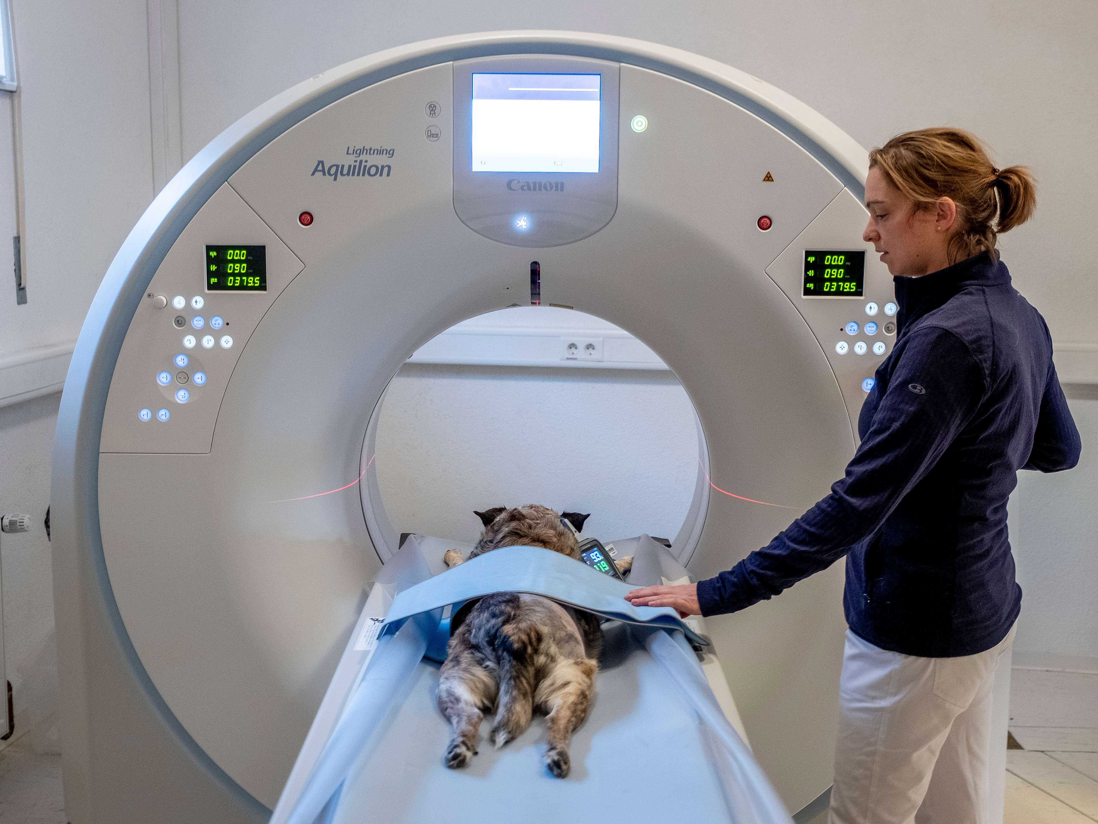 Ansicht 3 von Tierärztliches Zentrum Wehrheim
