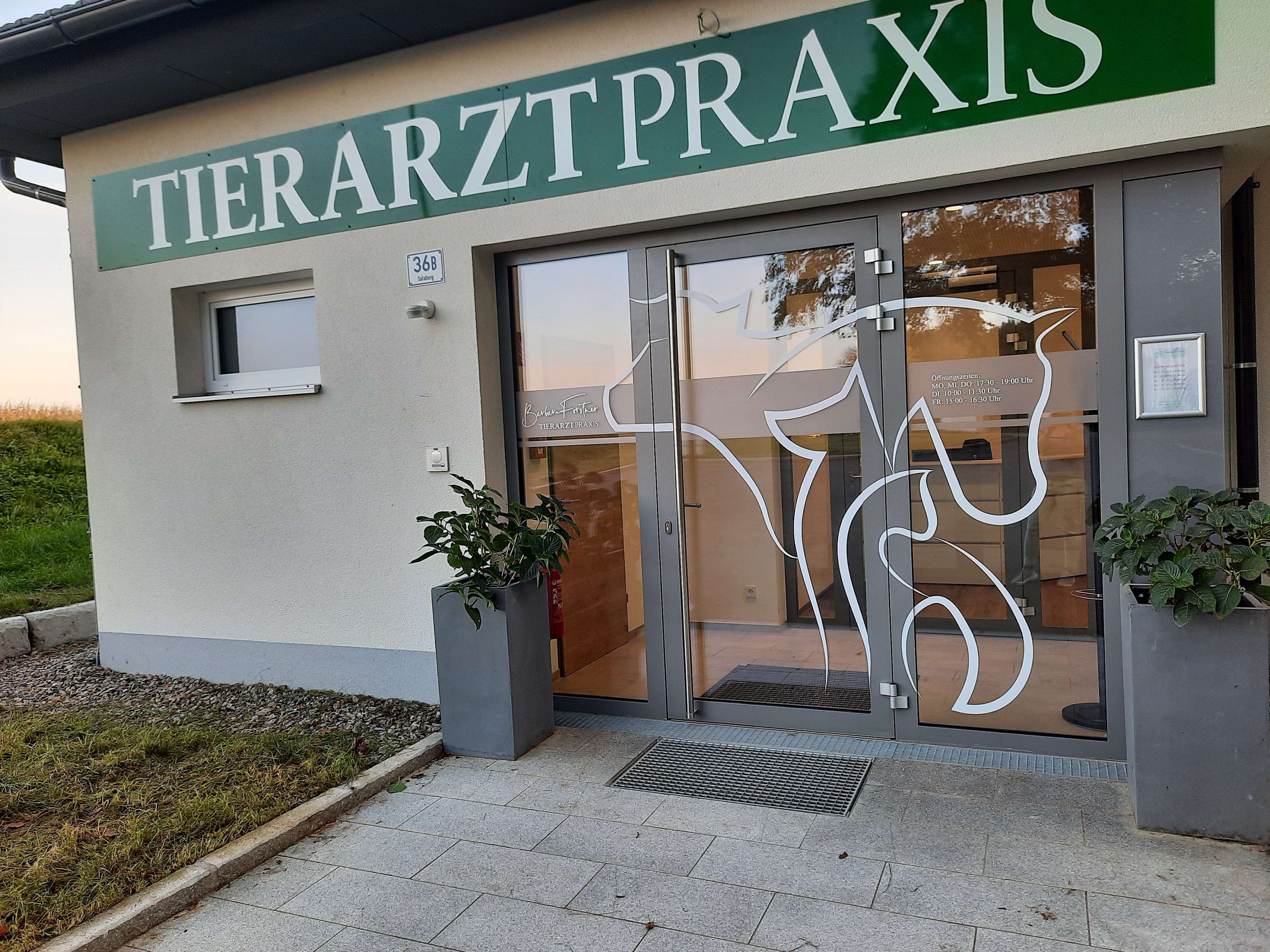 Ansicht 2 von Tierarztpraxis Barbara Forstner