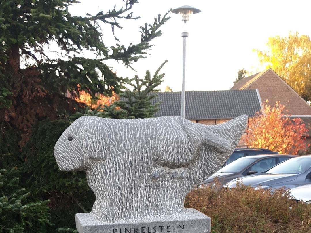 Ansicht 2 von AniCura Bökelberg GmbH