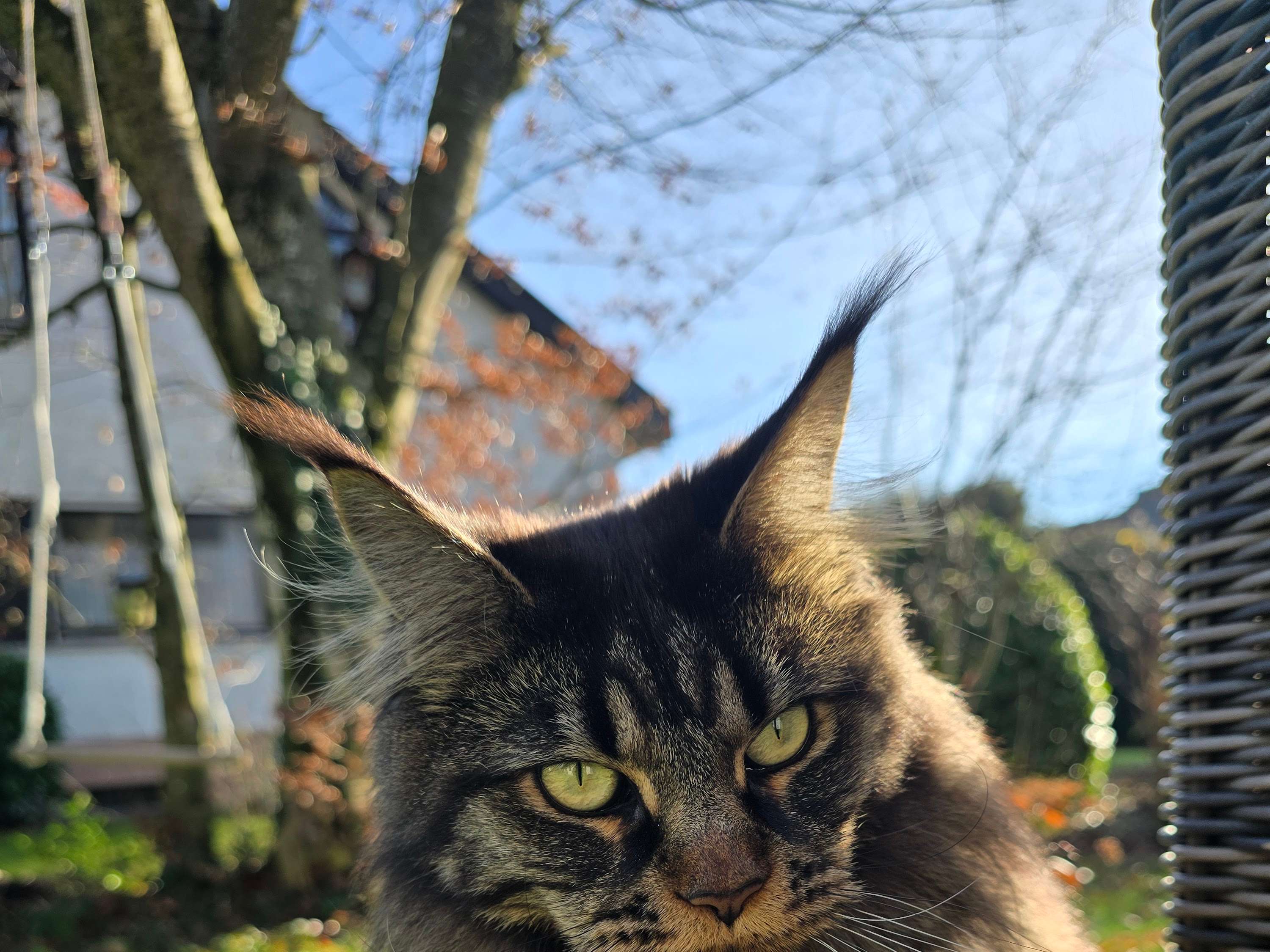 Ansicht 2 von Tierärztliche Gemeinschaftspraxis in Oberschwaben (Ochsenhausen)