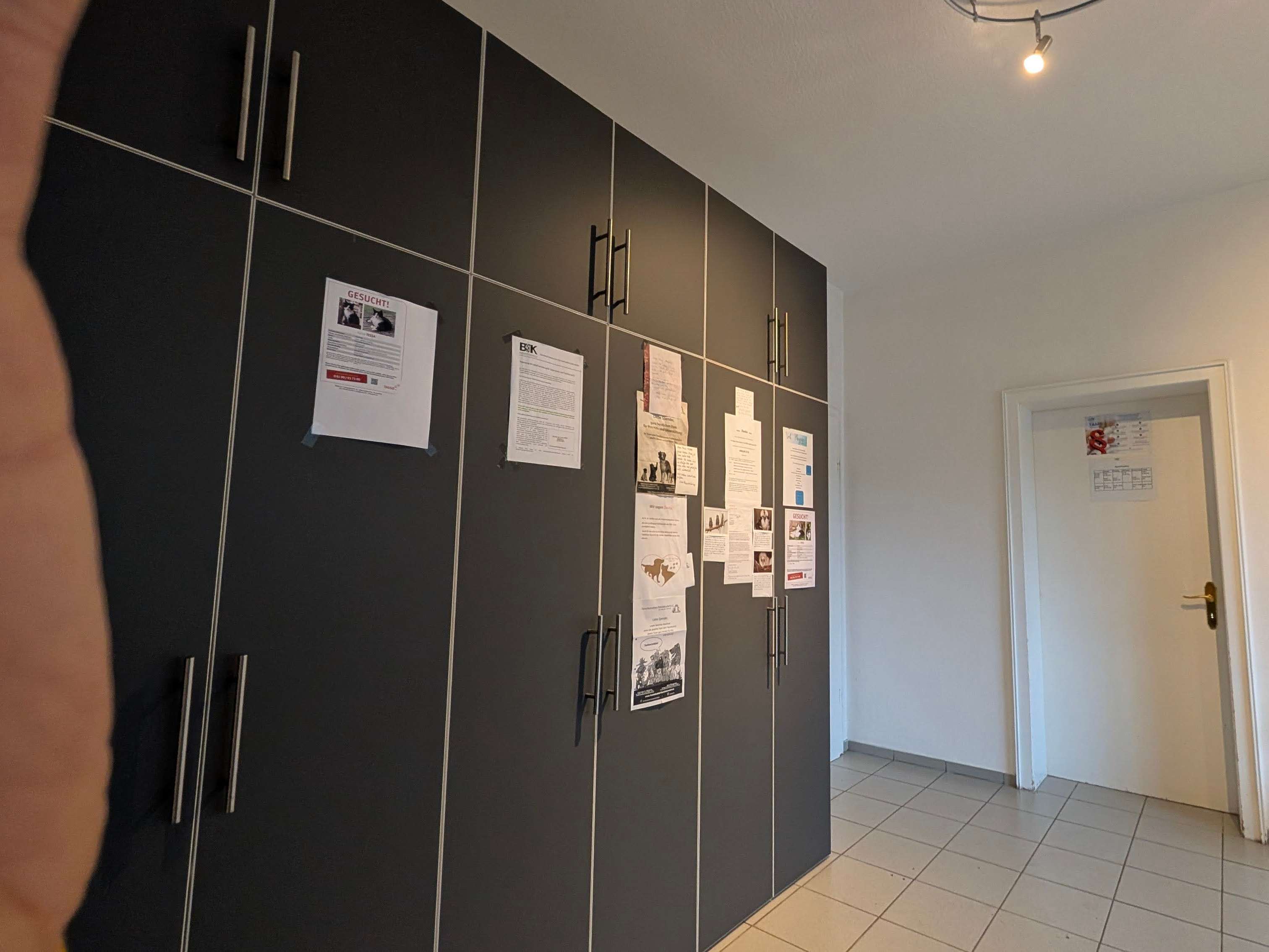 Ansicht 2 von Dr. Carola Müller