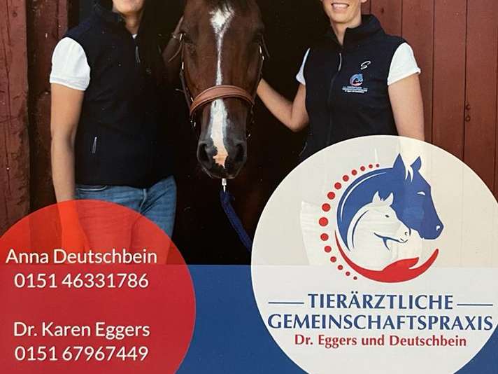 View 2 of Tierärztliche Gemeinschaftspraxis Dr. Eggers und Deutschbein