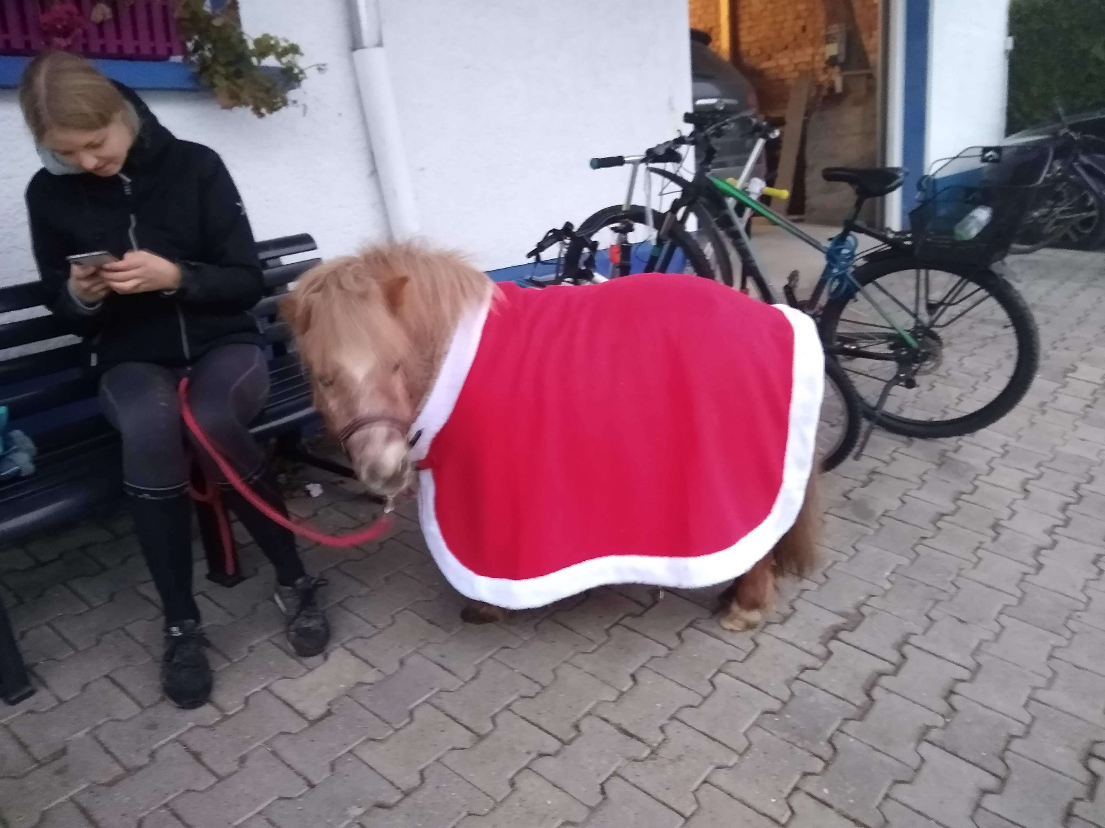 Ansicht 1 von Tierarztpraxis Hannah Schneider
