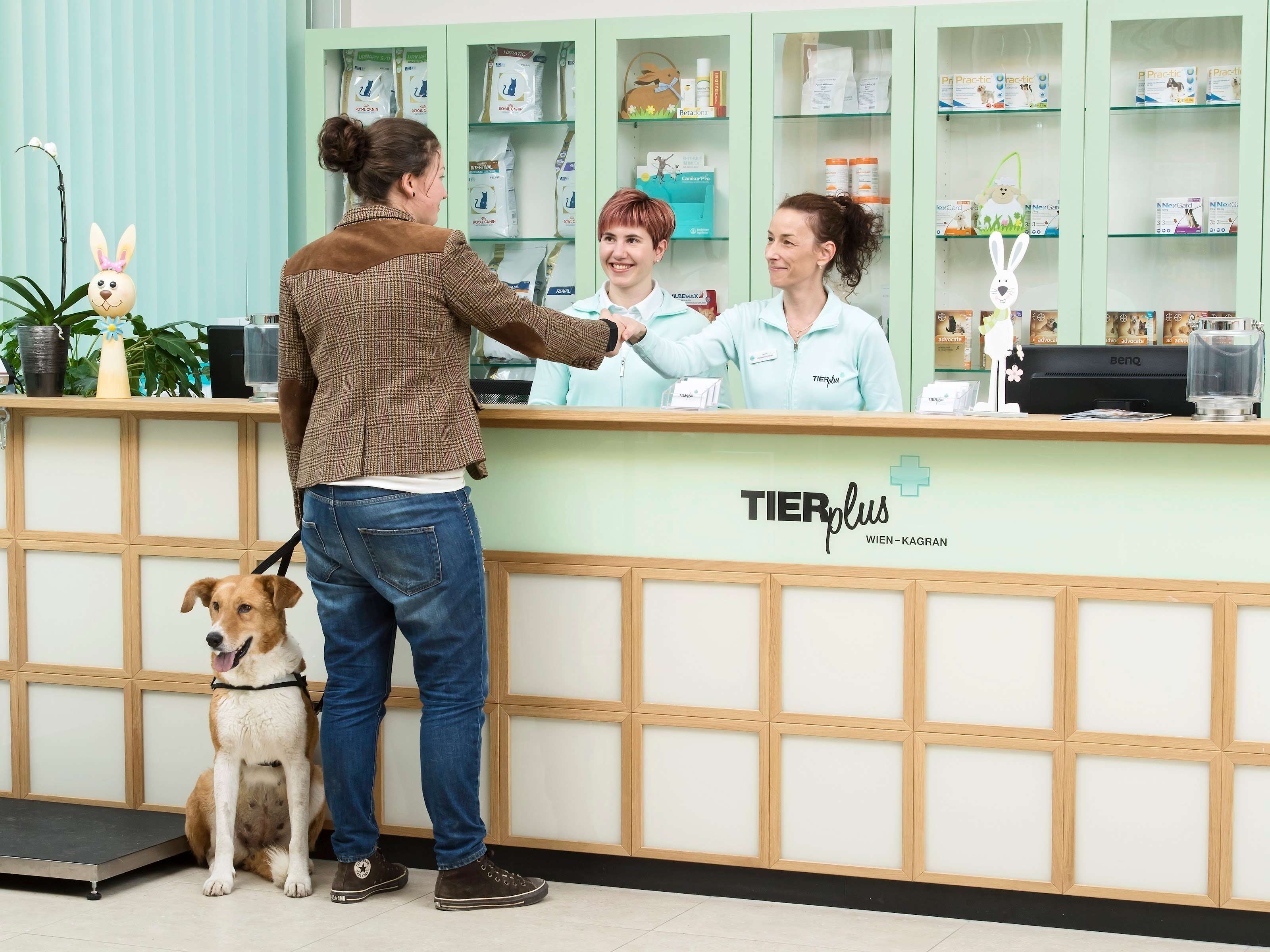 Ansicht 3 von TIERplus Wien-Kagran - Tiermedizinisches Zentrum für Chirurgie und Diagnostik
