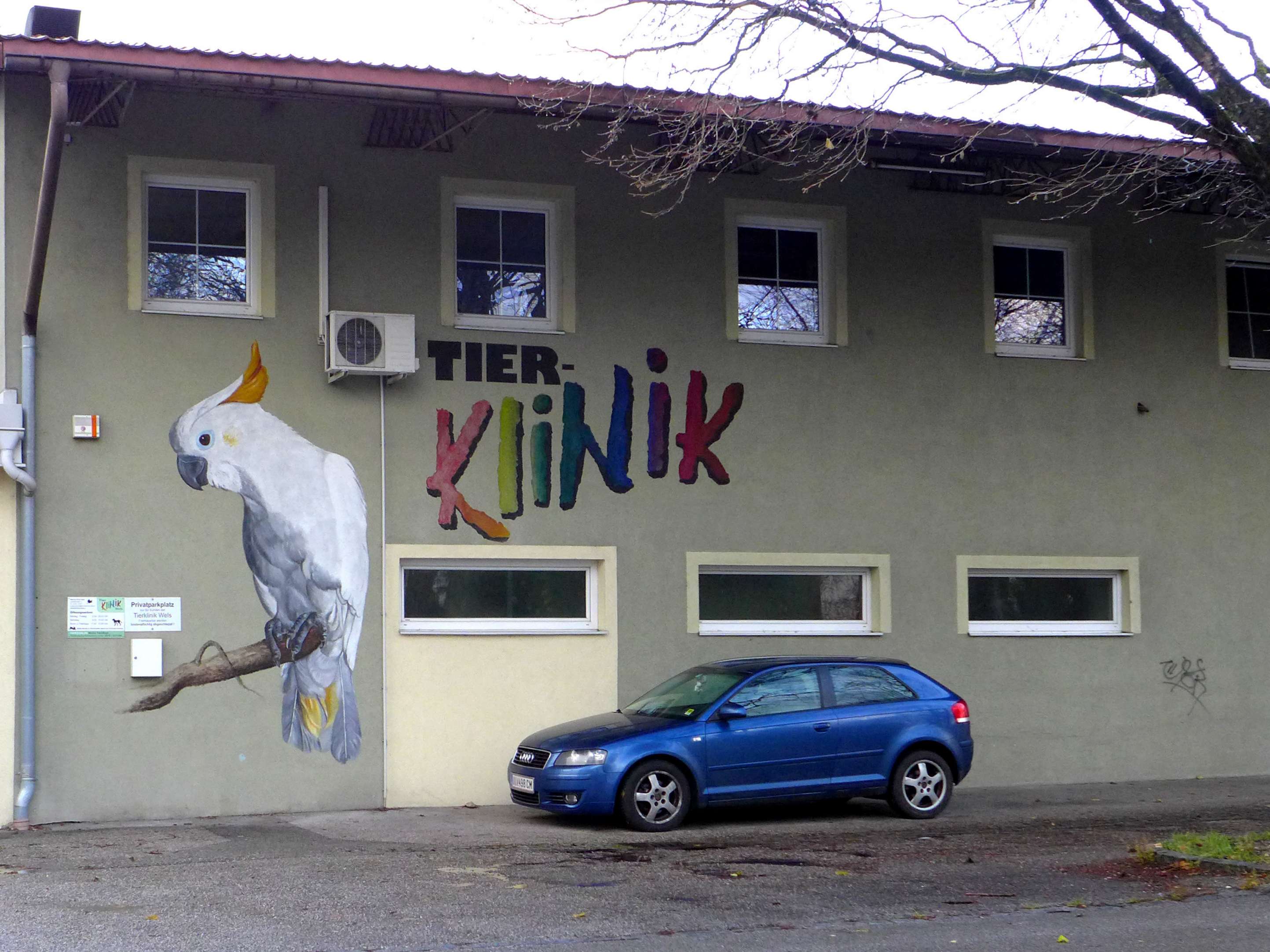 View 1 of Dr. Christian Schwingshandl (Inhaber Tierklinik)