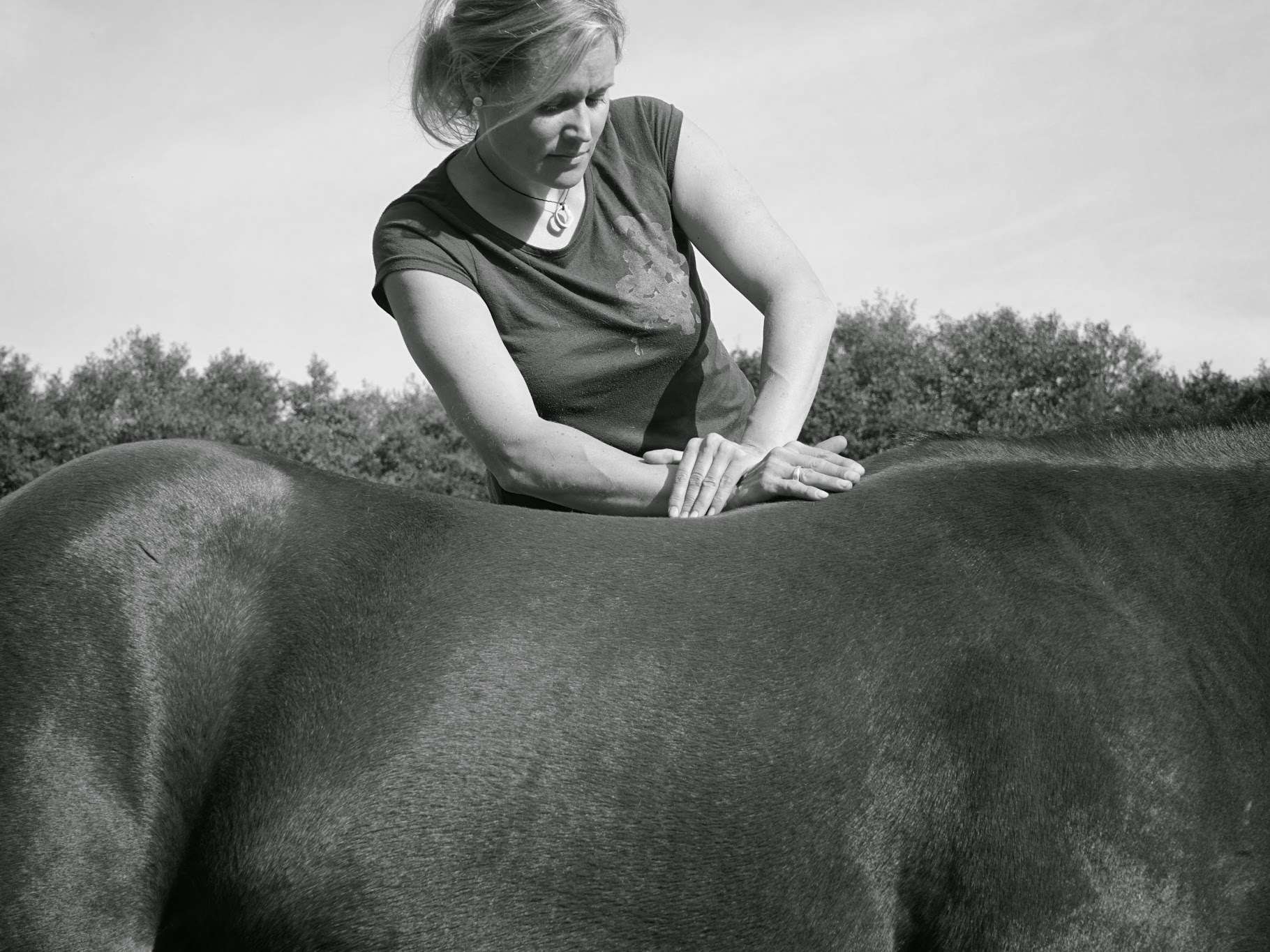 View 1 of Tierchiropraxis - Dr. med. vet. Christiane Hagen