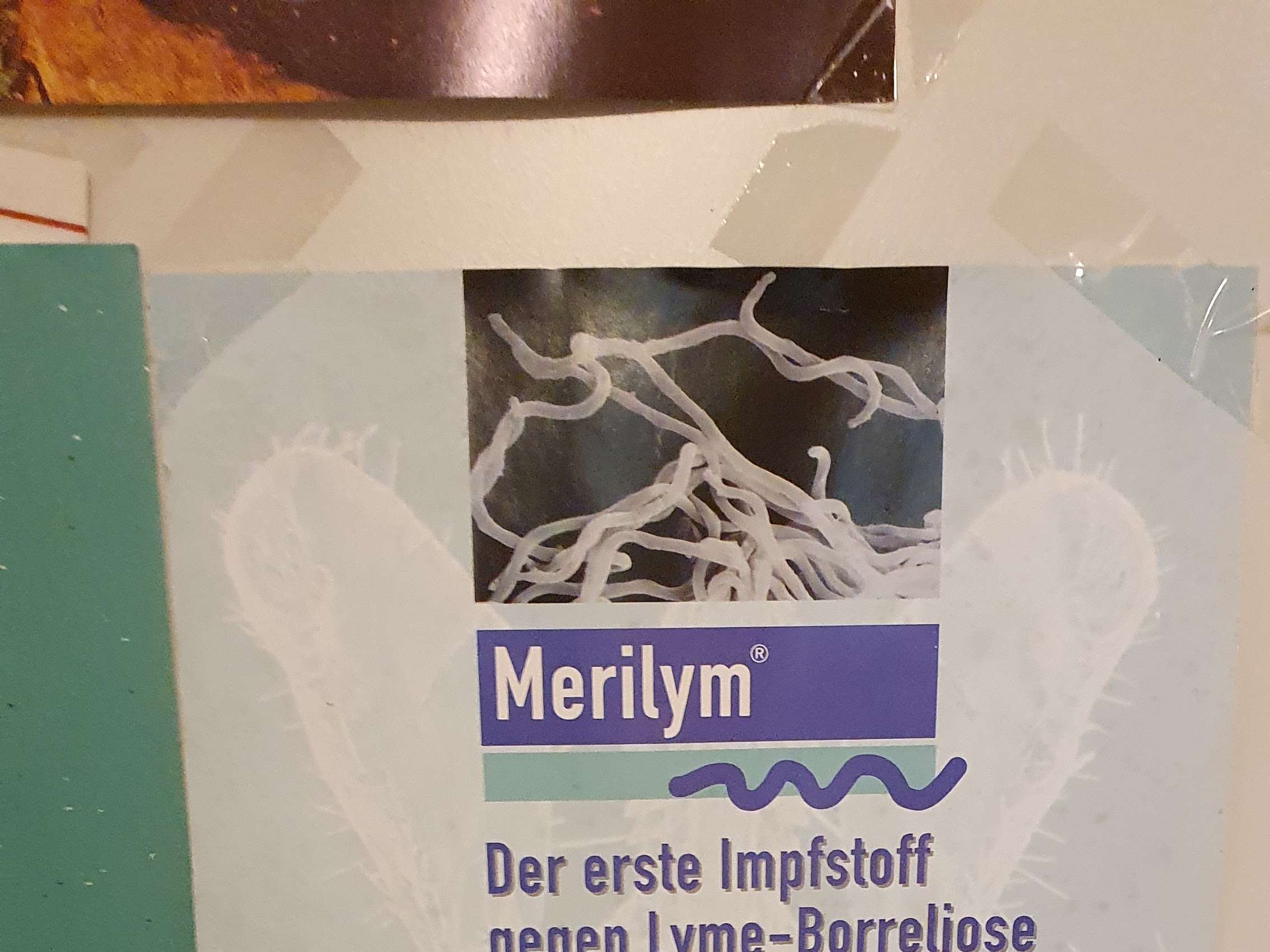 Ansicht 1 von Dr. med. vet. Hanna Jakob Tierärztin