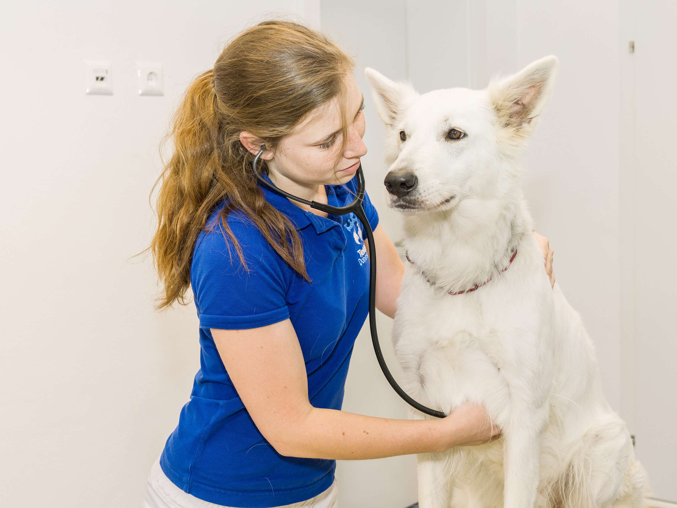 Ansicht 2 von Tierklinik Dobersberg