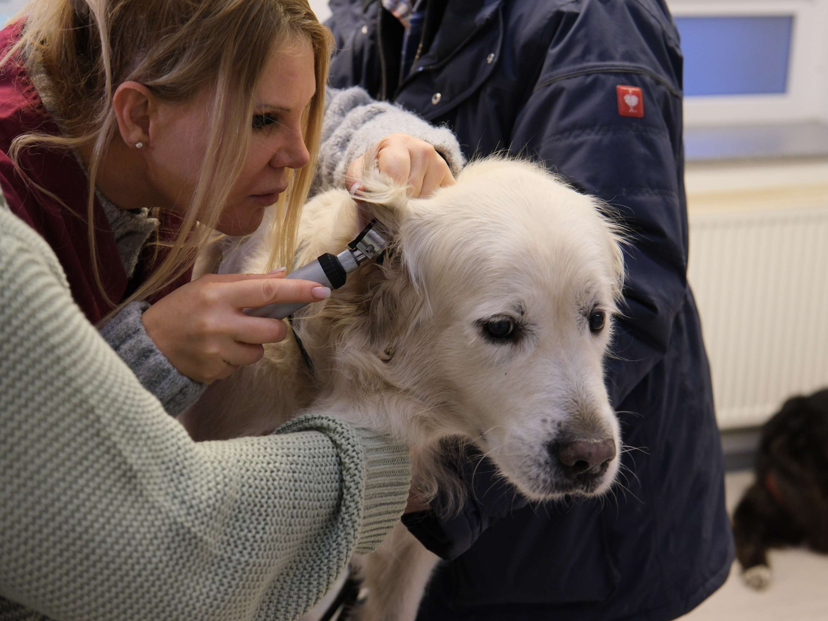 Ansicht 1 von Tierklinik für Naturheilkunde am Förderturm mit Tierärztlicher Abteilung