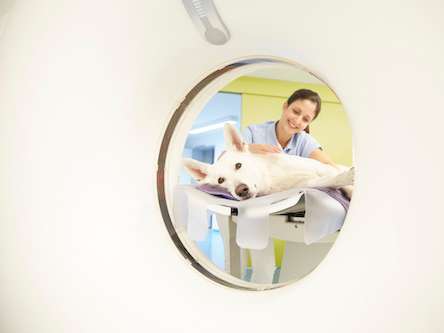 Ansicht 1 von Tierklinik Kellerwessel in Köln - Tierärztliche Klinik mit 24h Notdienst