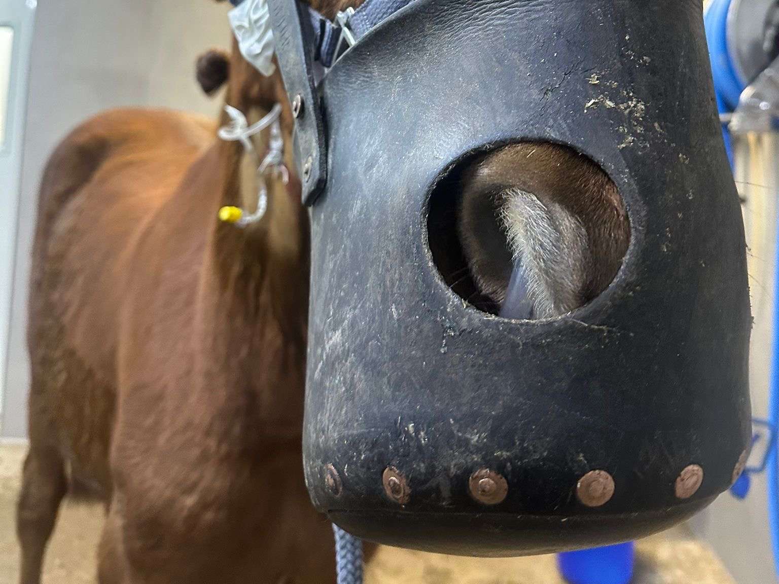 Ansicht 3 von Tierklinik Großmoor