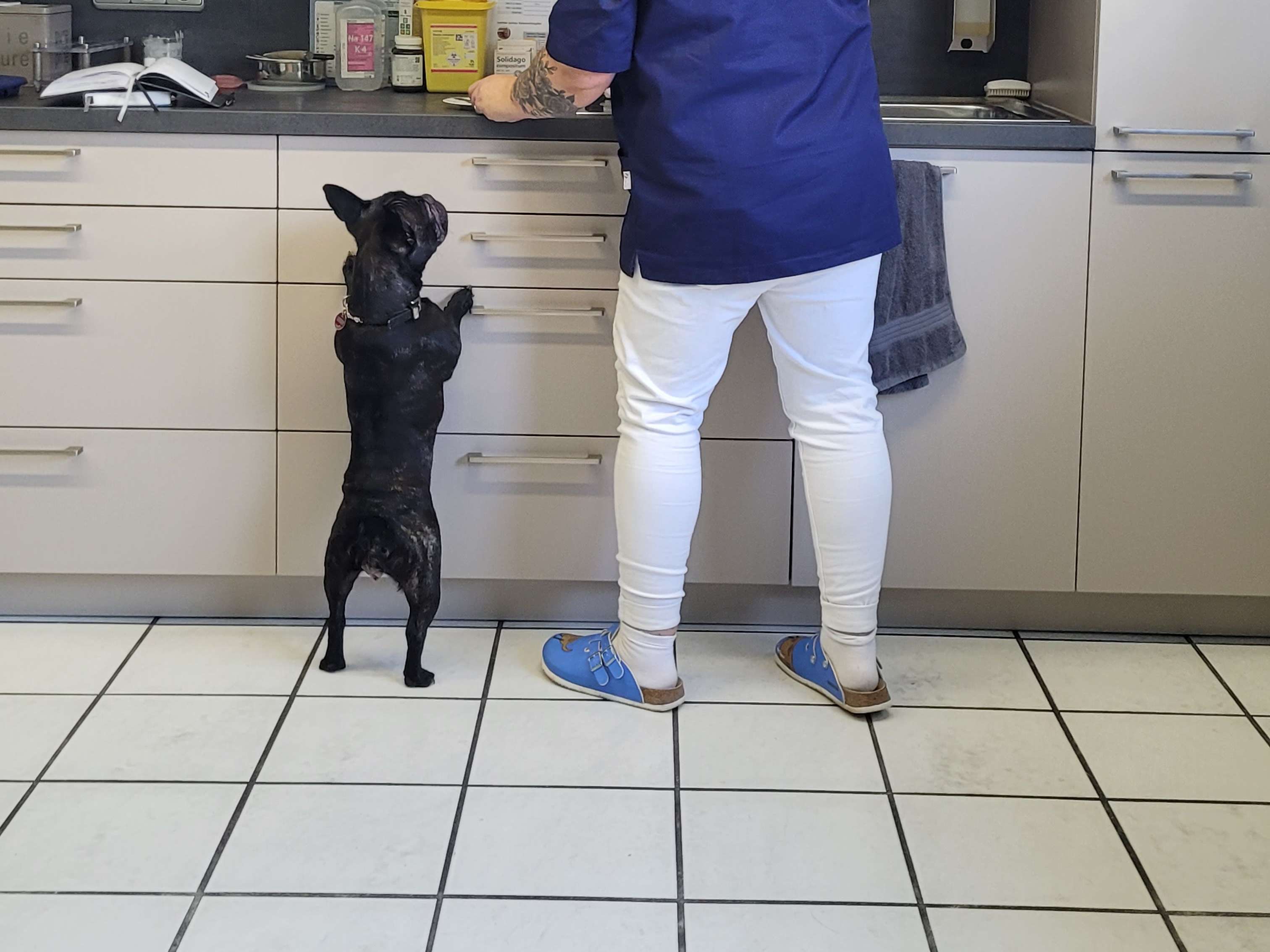 Ansicht 2 von Tierärztin Dr.med.vet. Nina Breunig